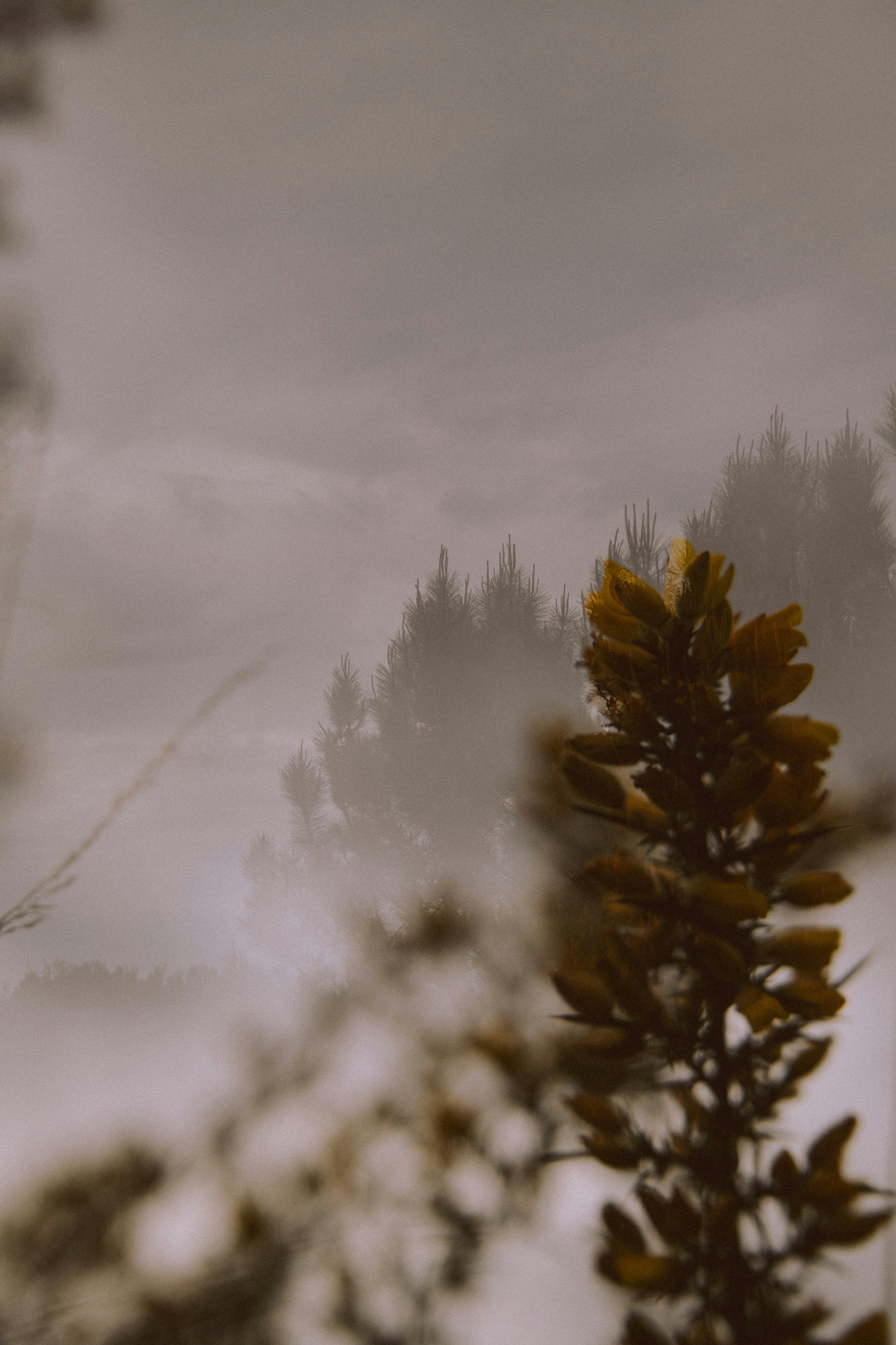 Photo by elmartinbaron