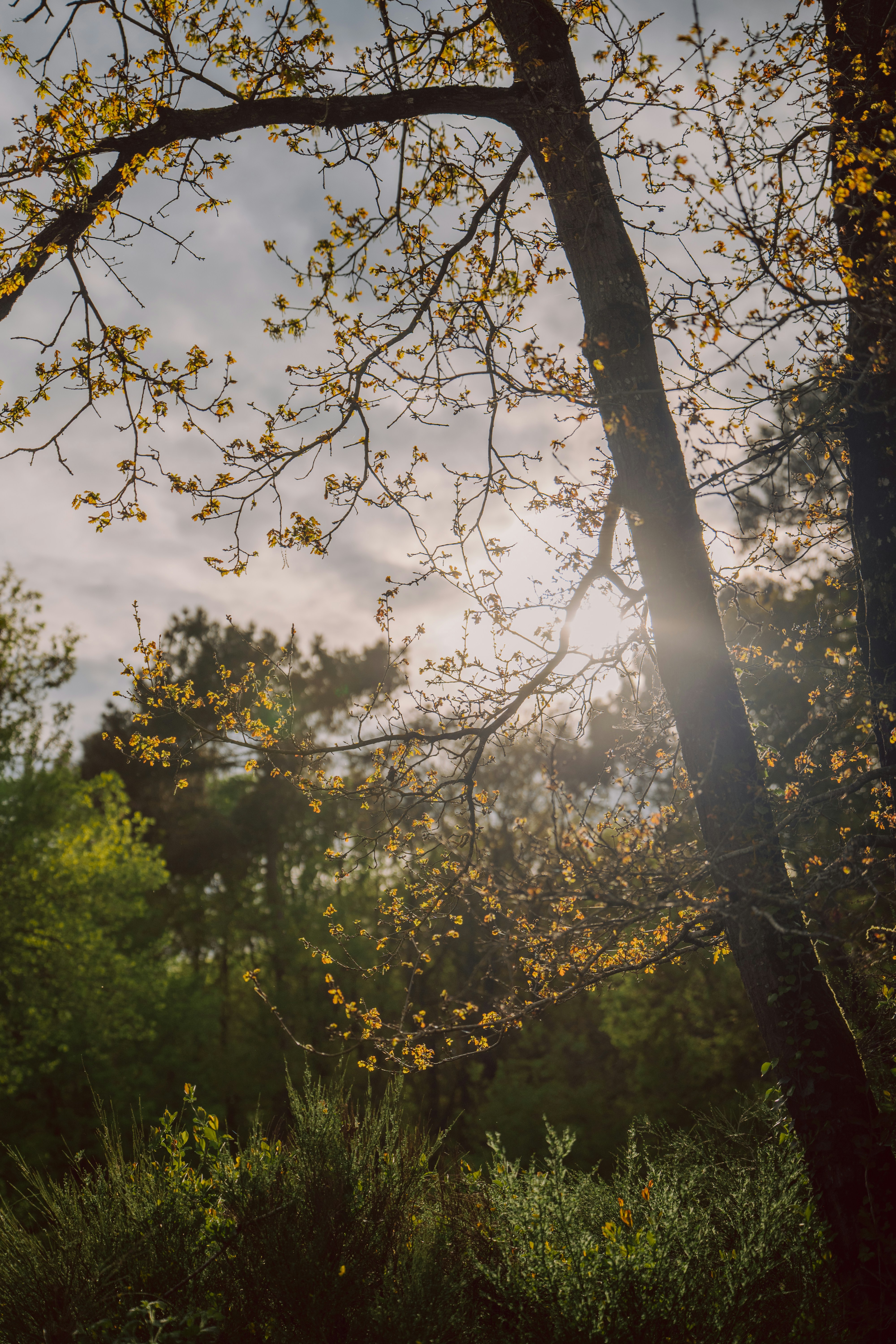 Photo by elmartinbaron