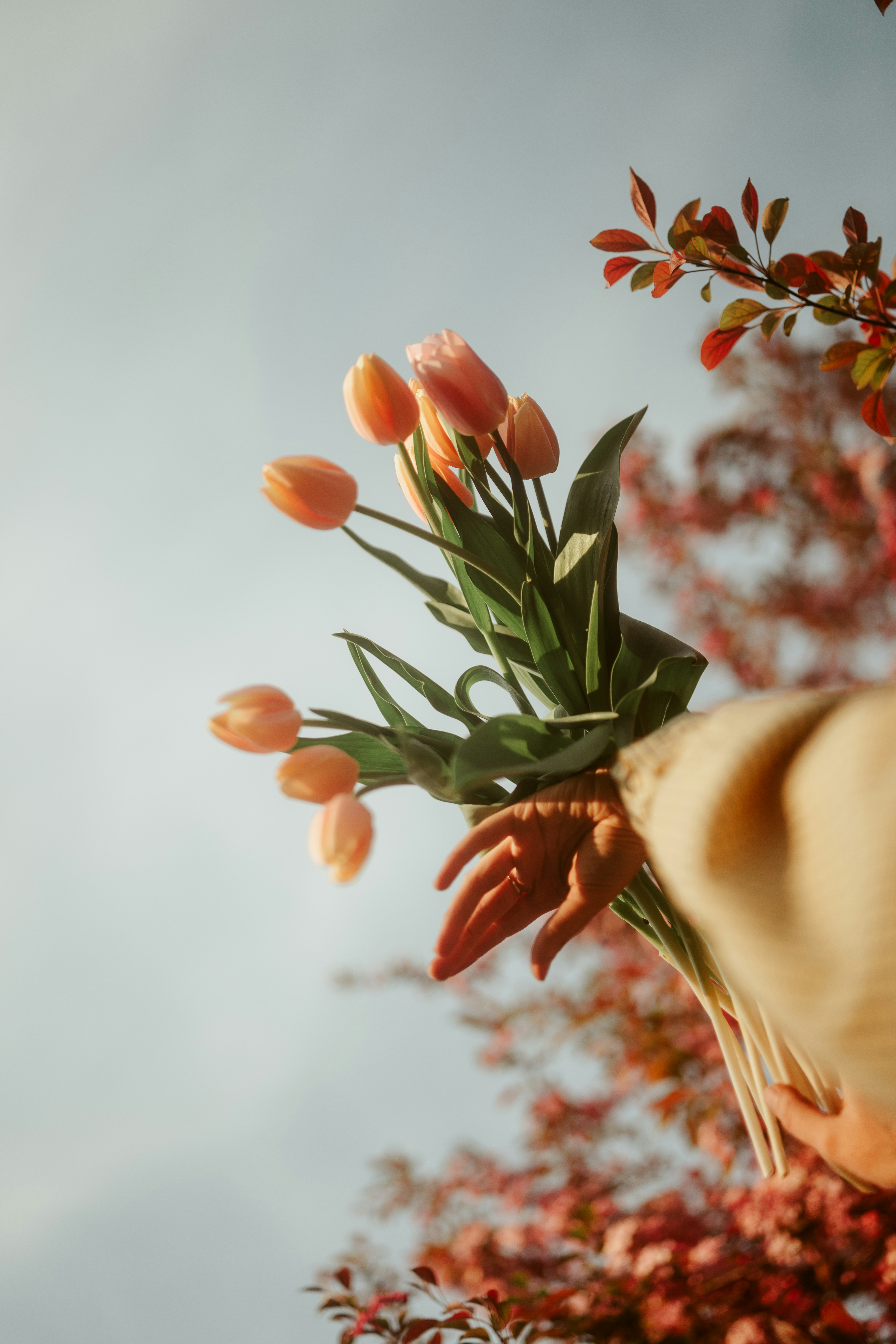 Photo by elmartinbaron