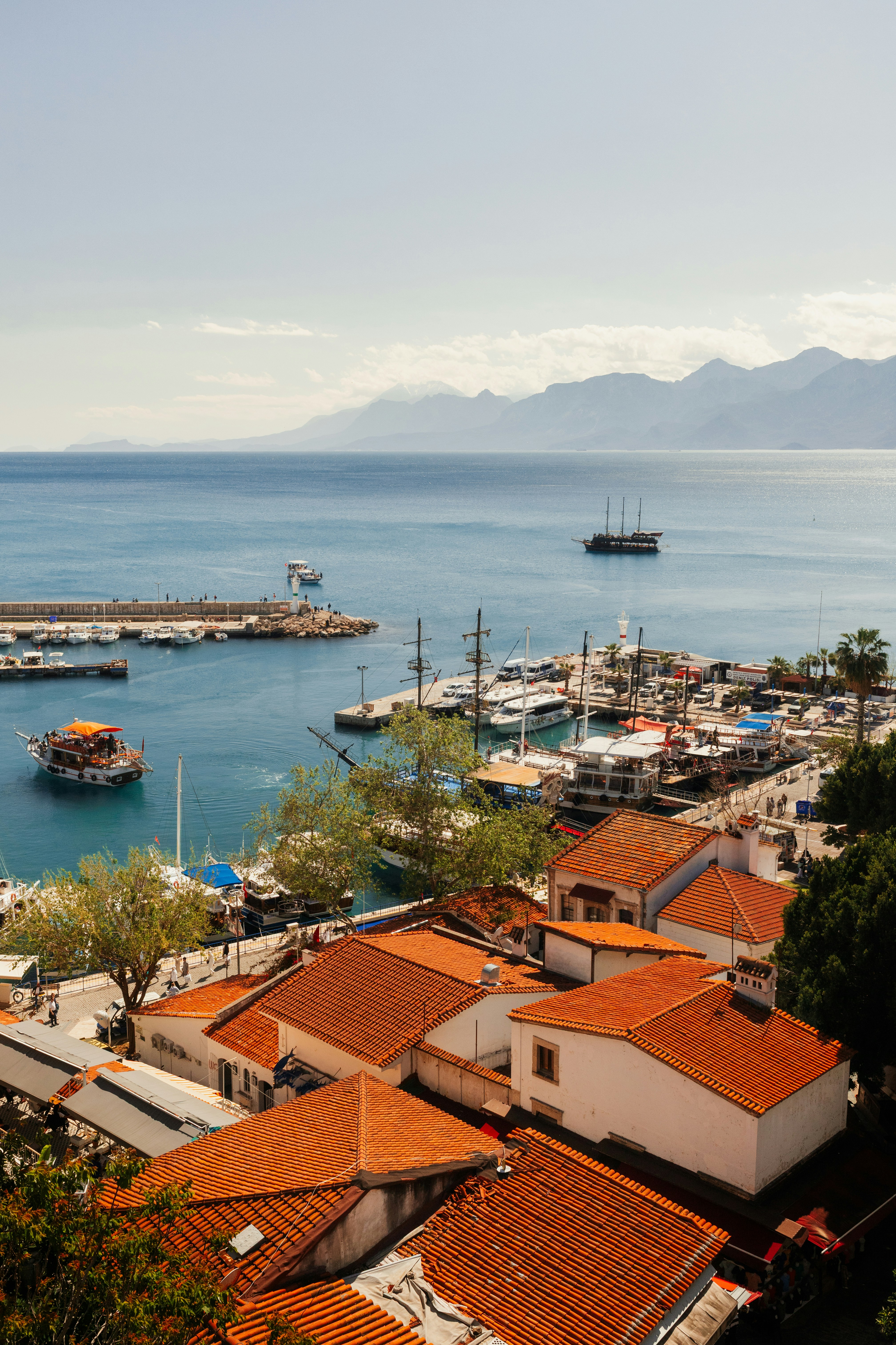 Photo by nikita_pishchugin