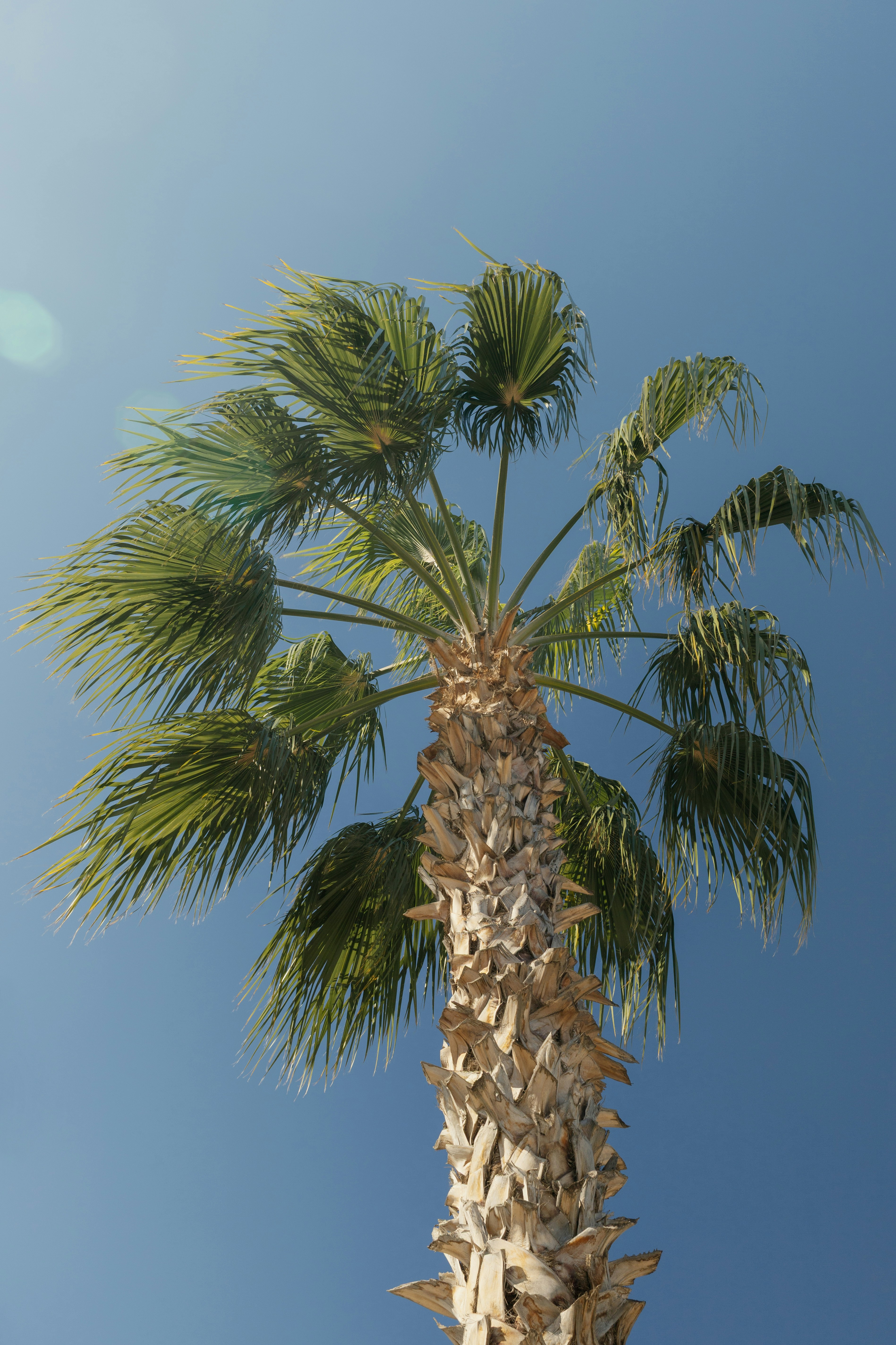 Photo by nikita_pishchugin