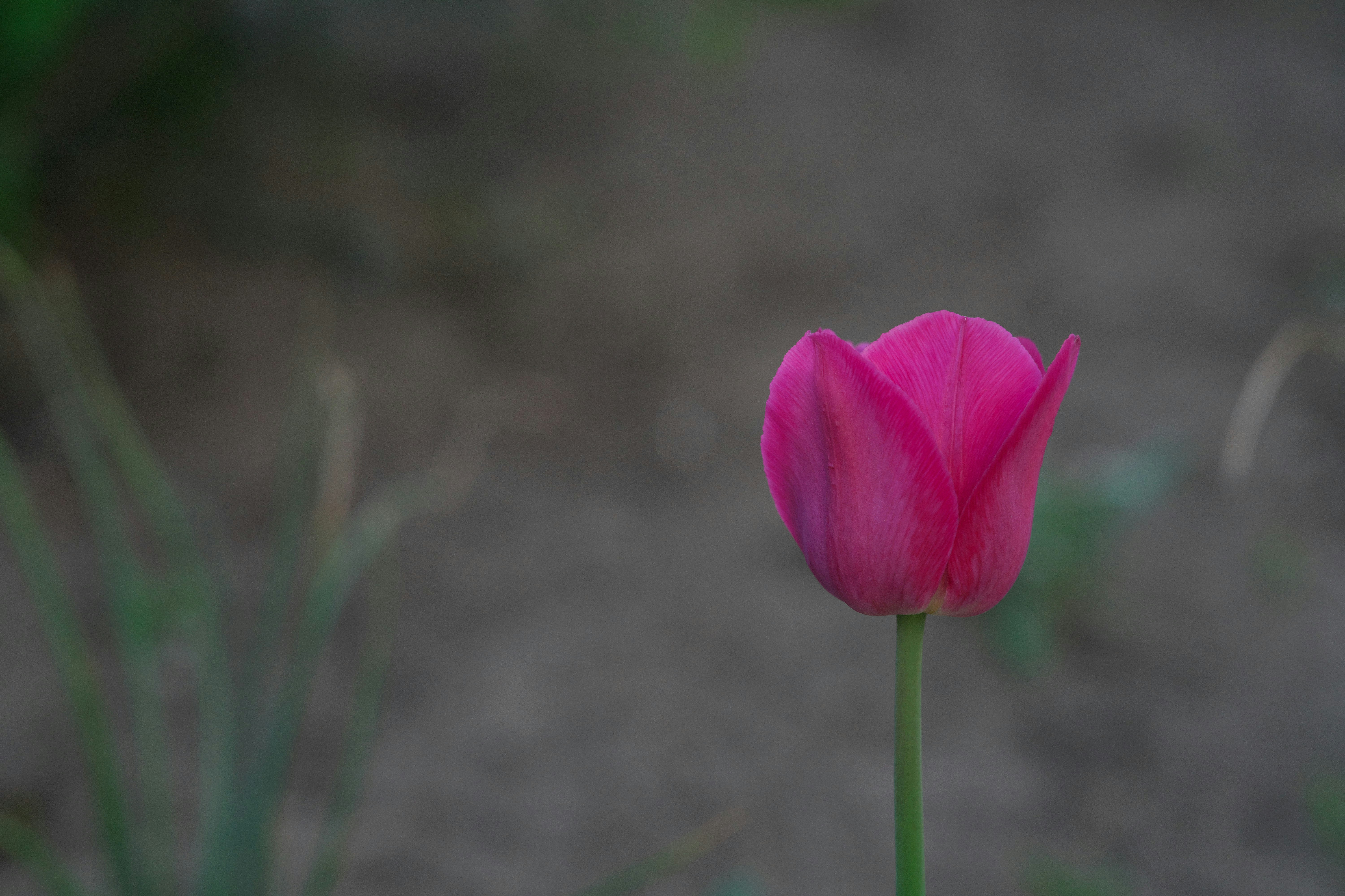Photo by haiku_ted