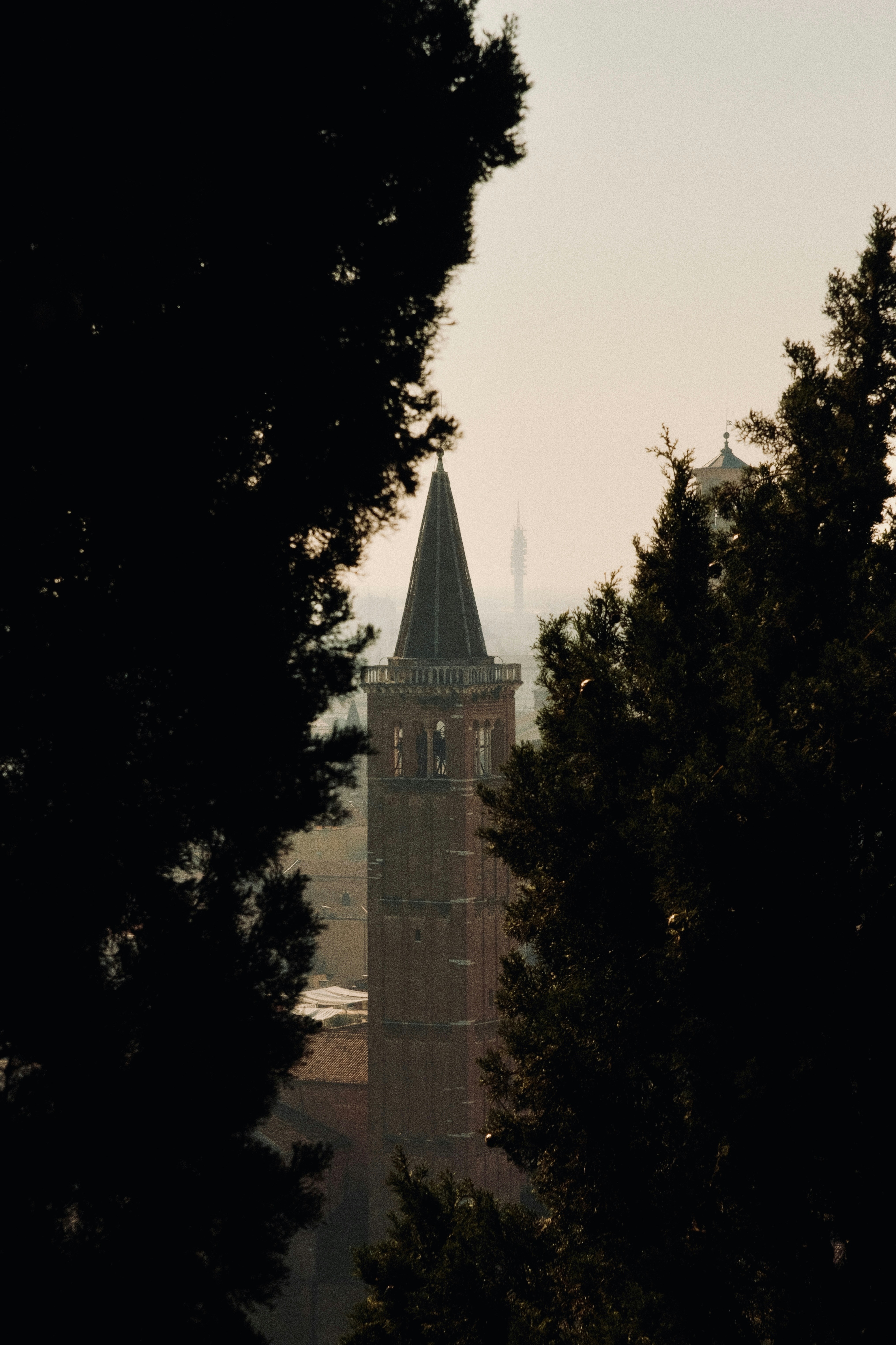 Photo by ivosouzamartins