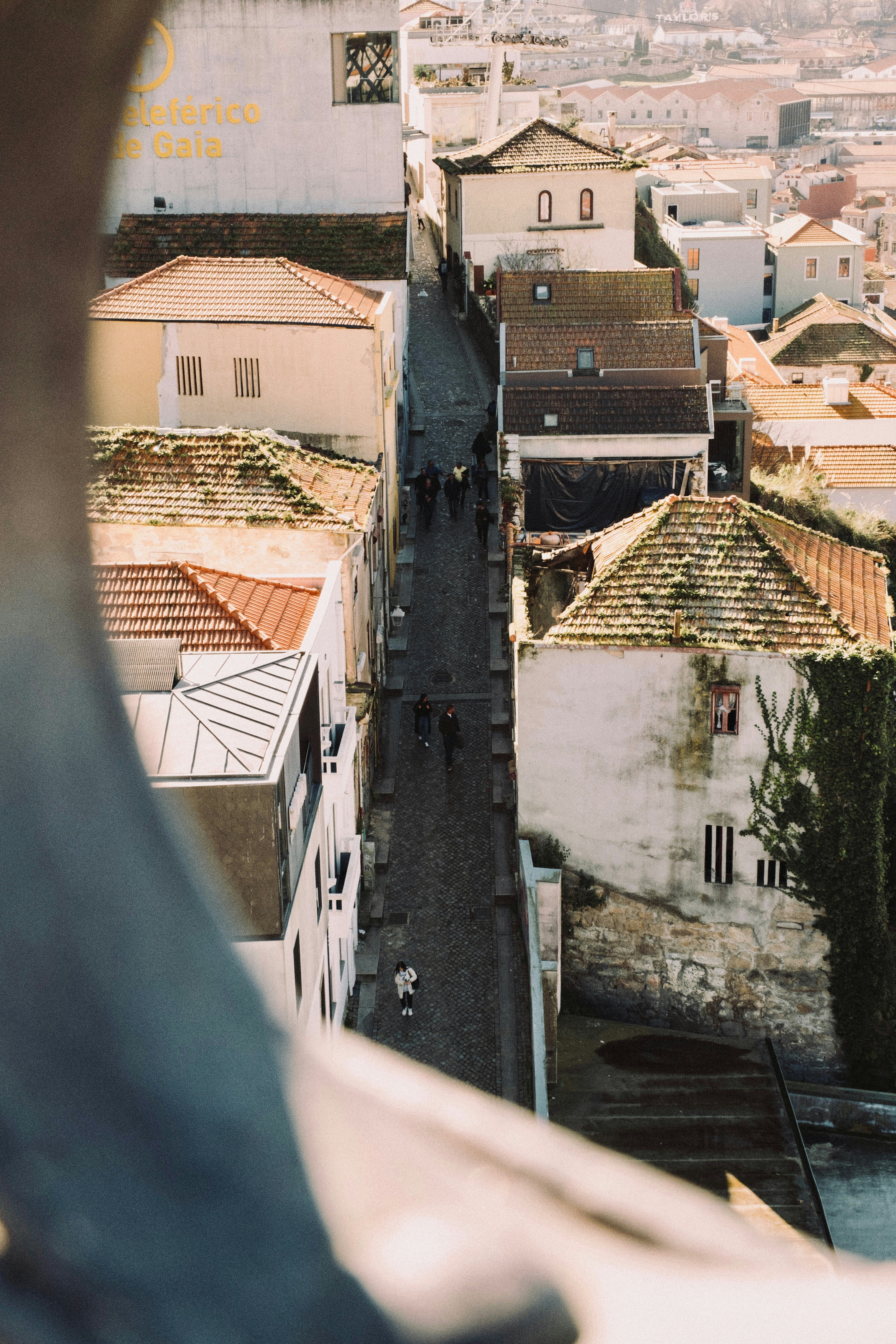 Photo by ivosouzamartins