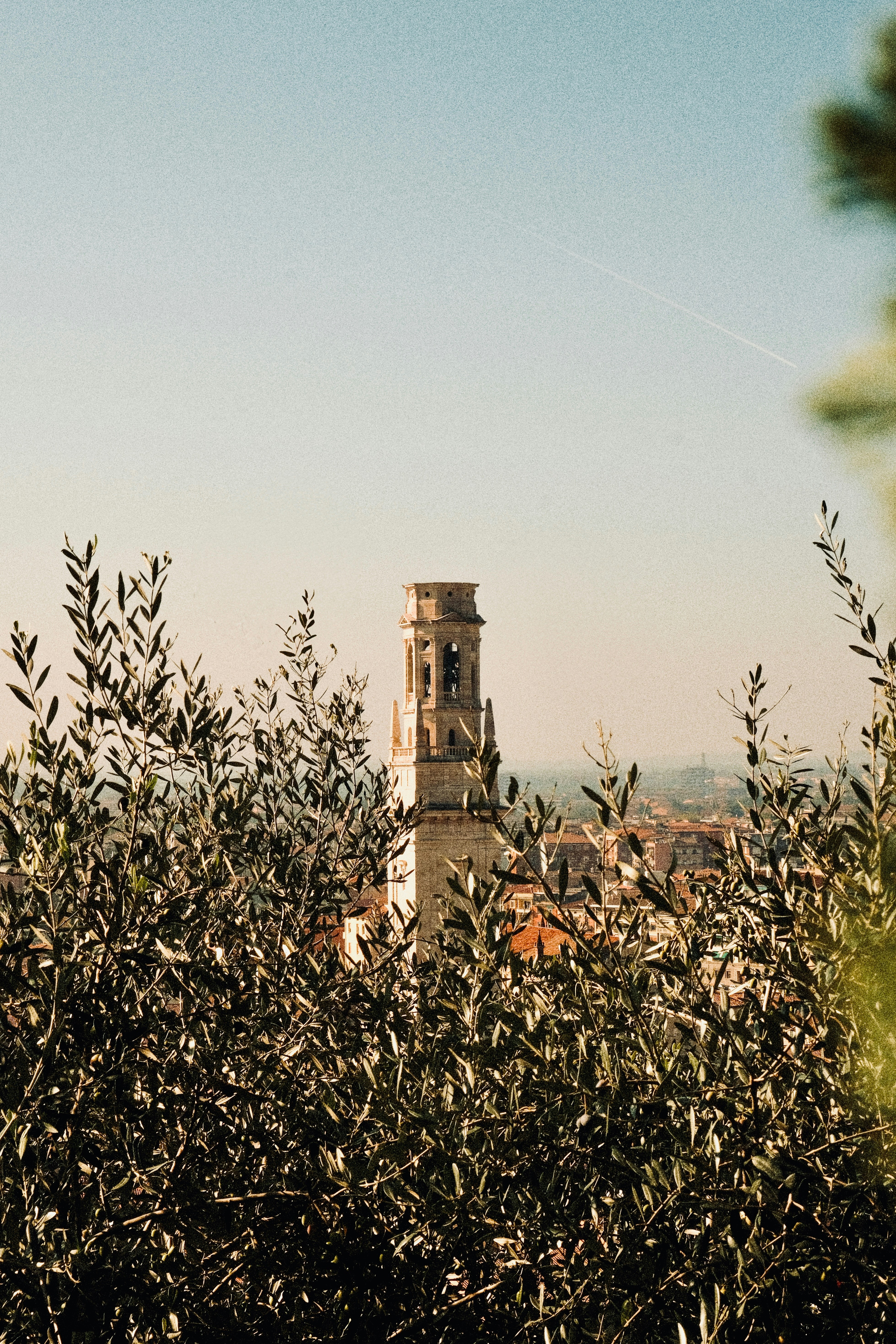 Photo by ivosouzamartins