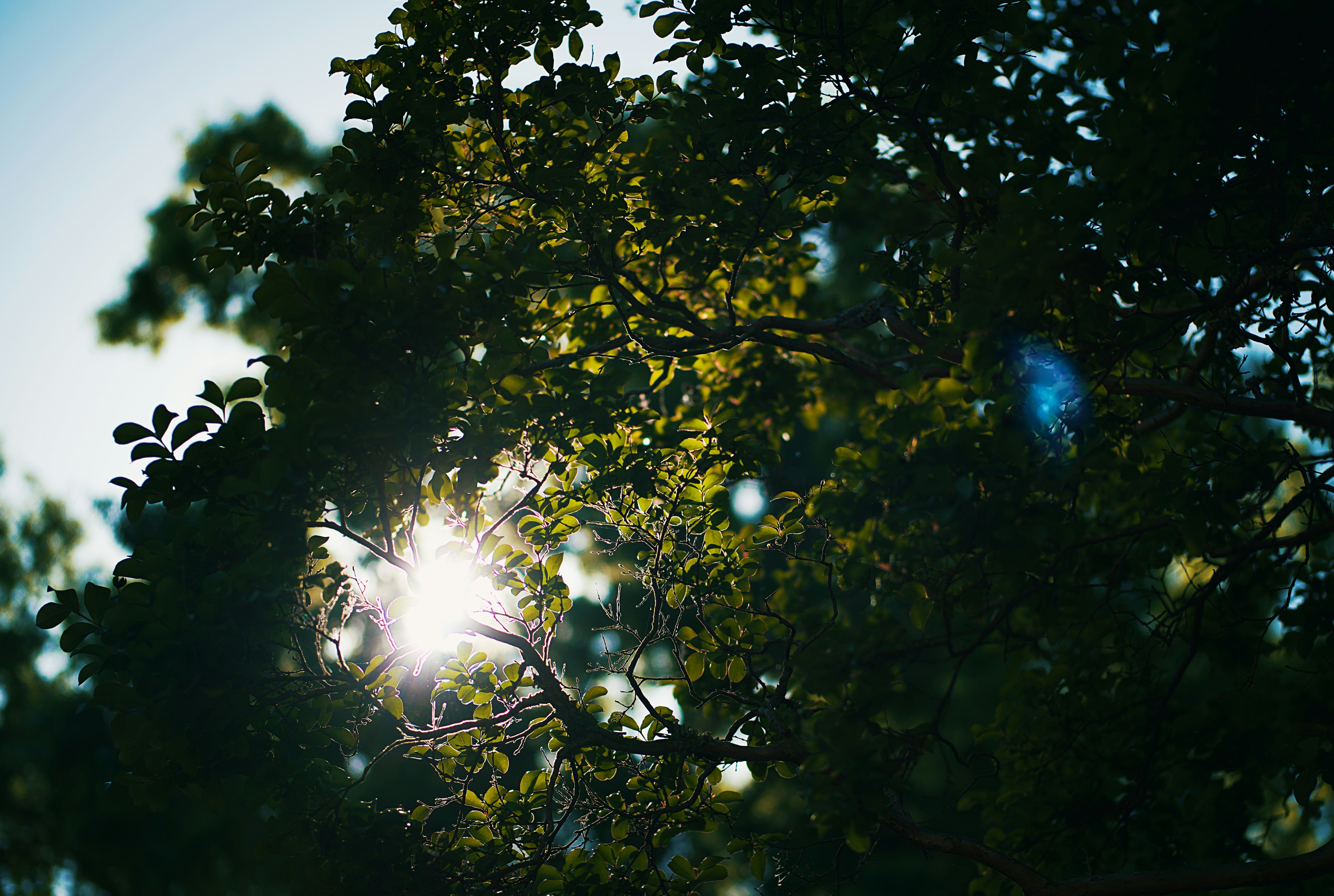 Photo by leiadakrozjhen