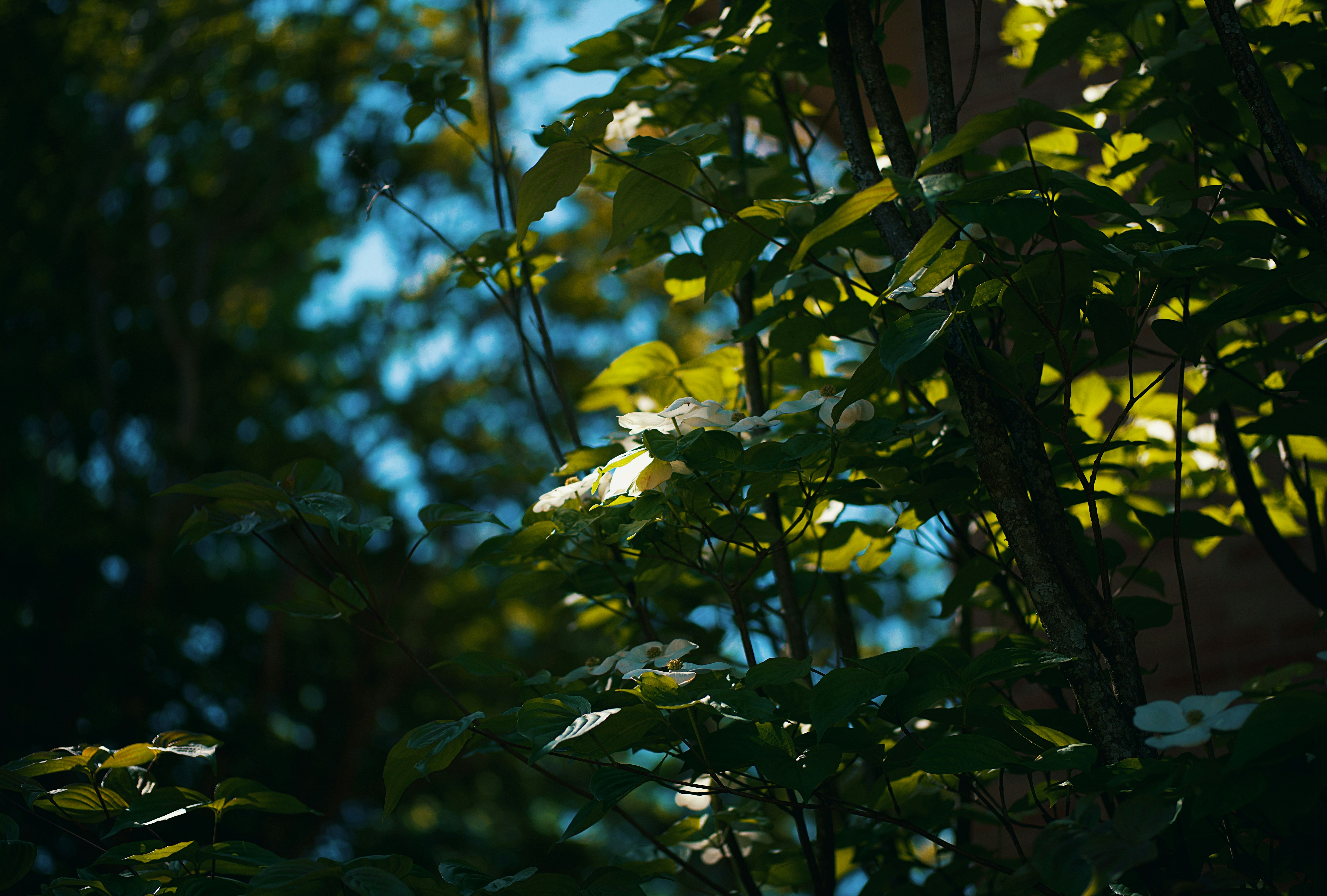 Photo by leiadakrozjhen