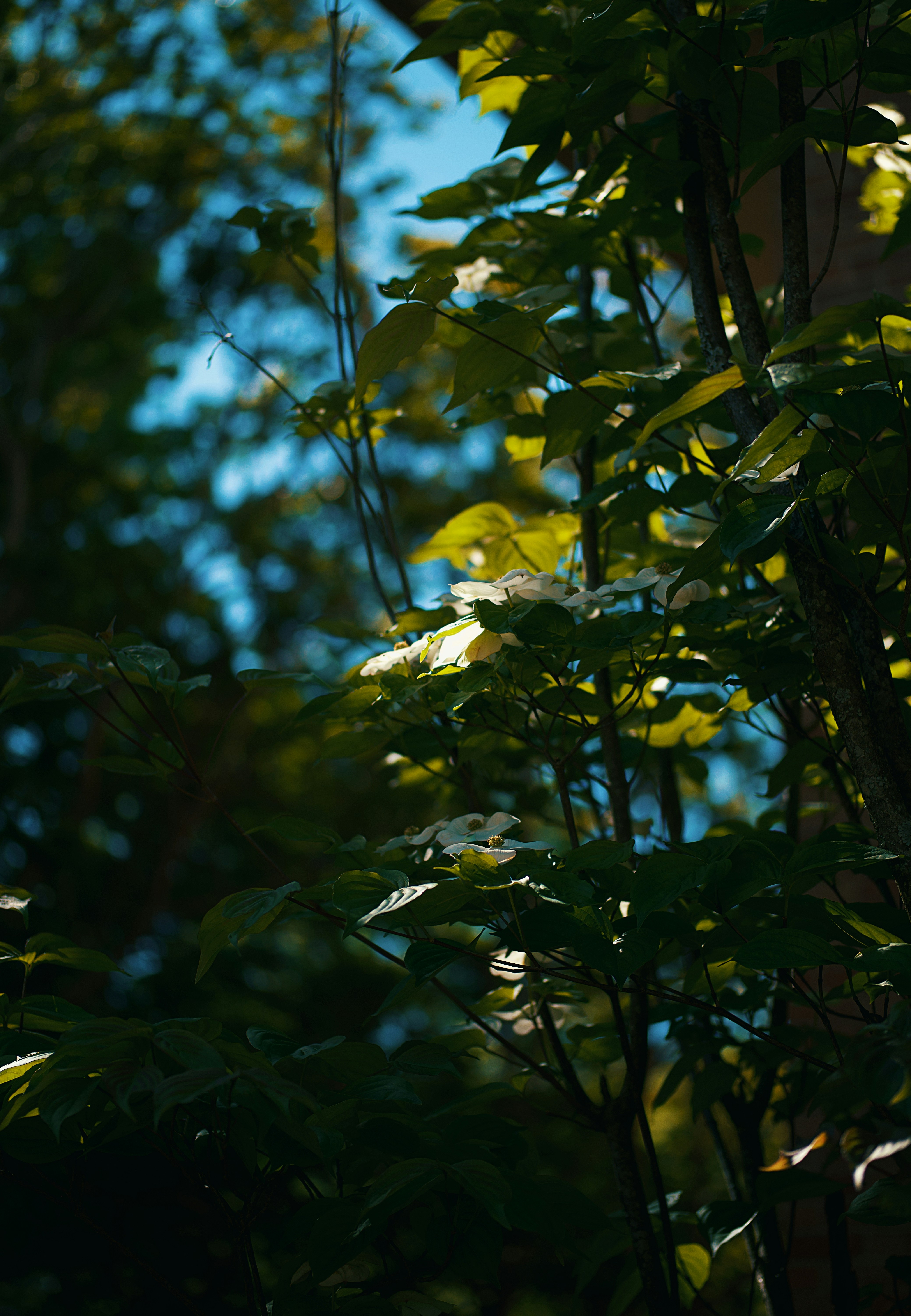 Photo by leiadakrozjhen