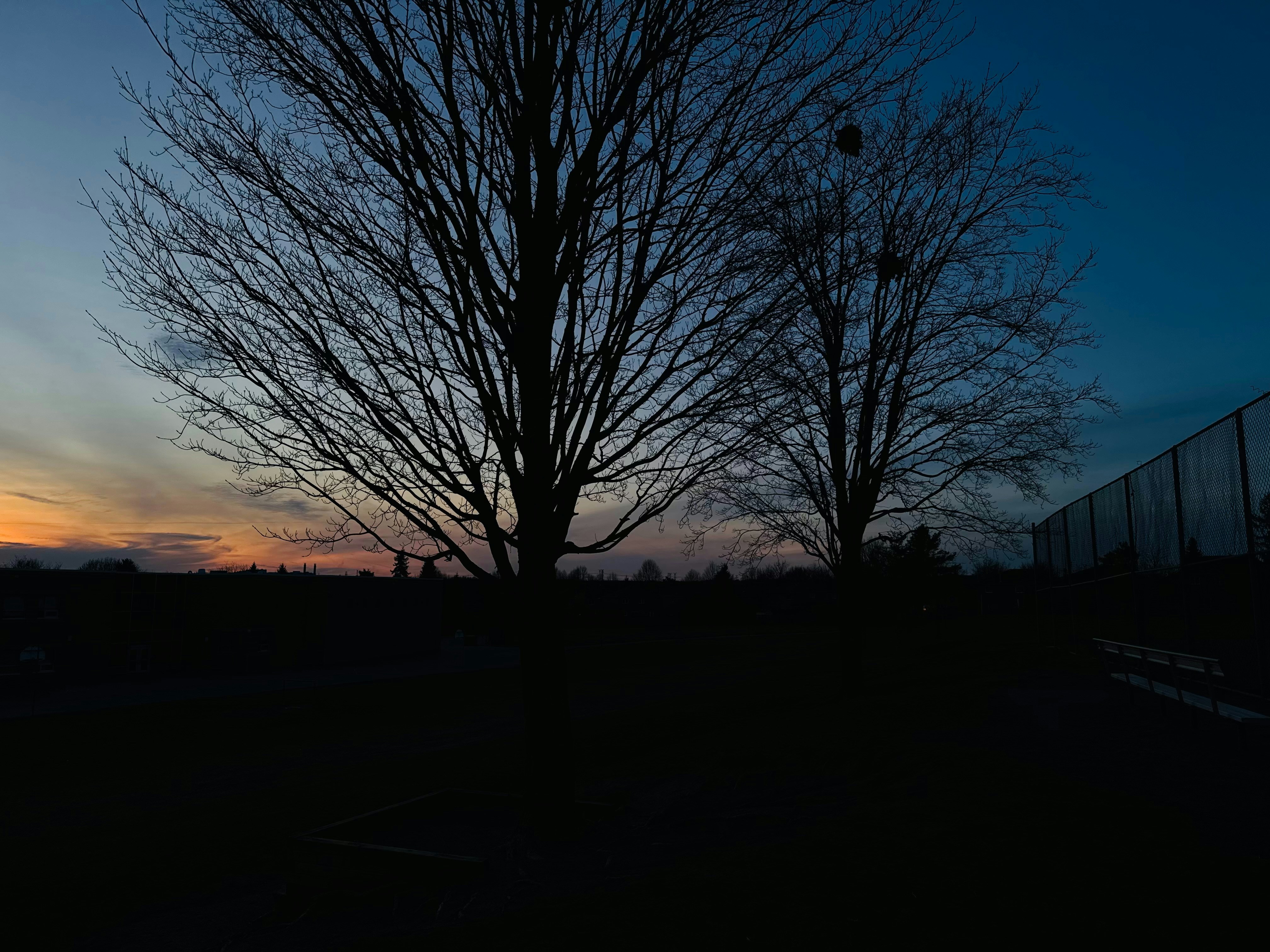 Photo by payalbadhran