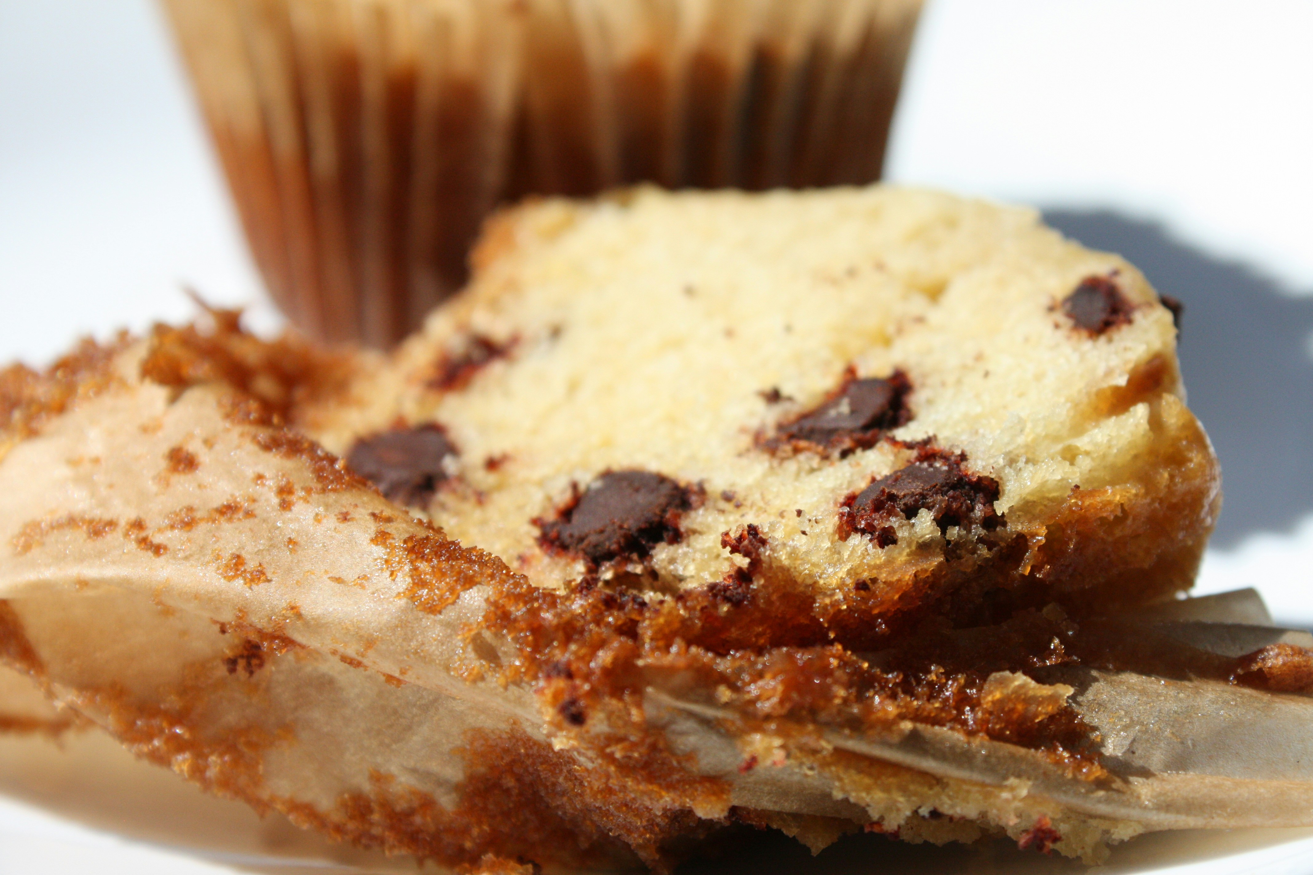 Photo by mangowastaken