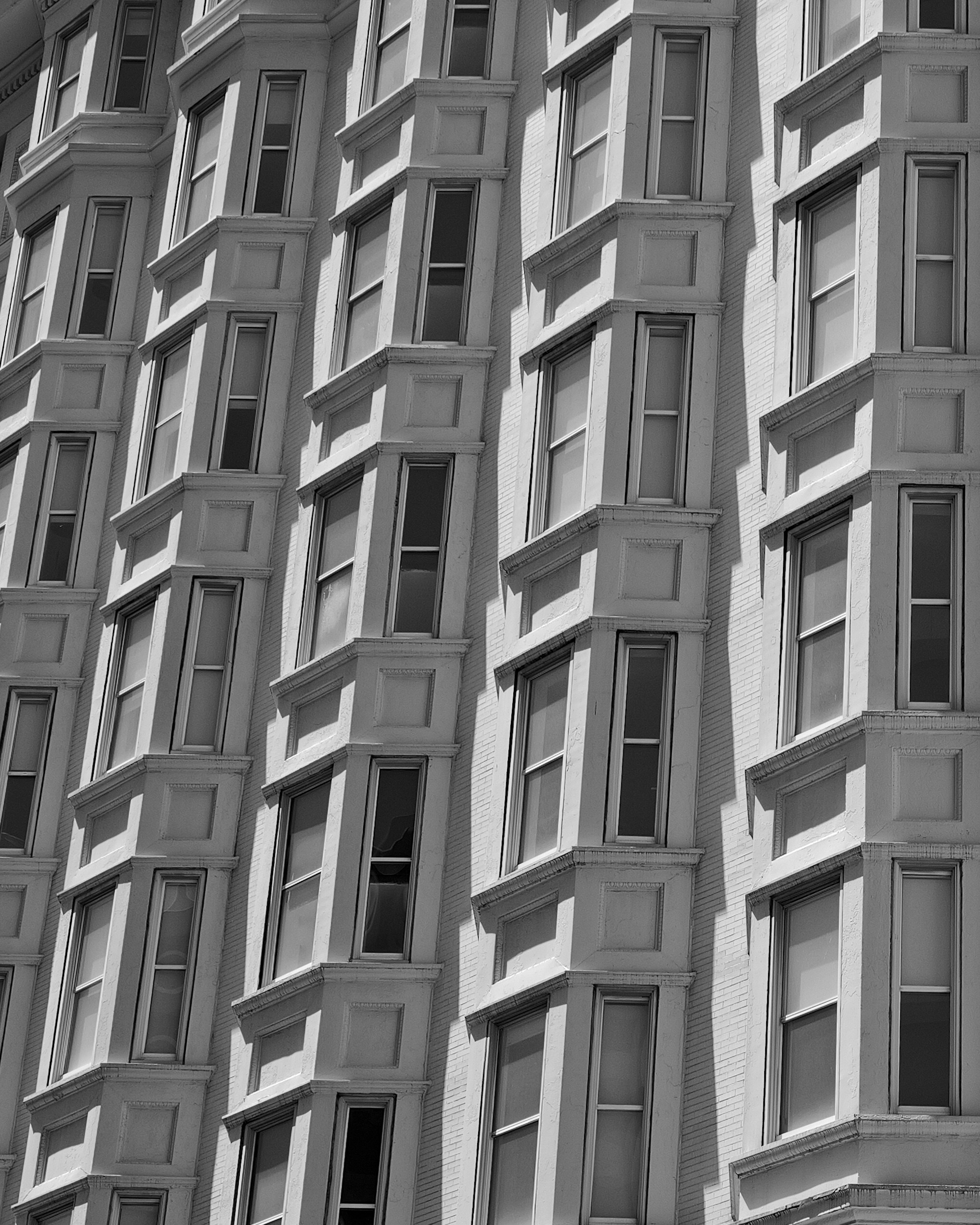 Photo by _zash_capturing