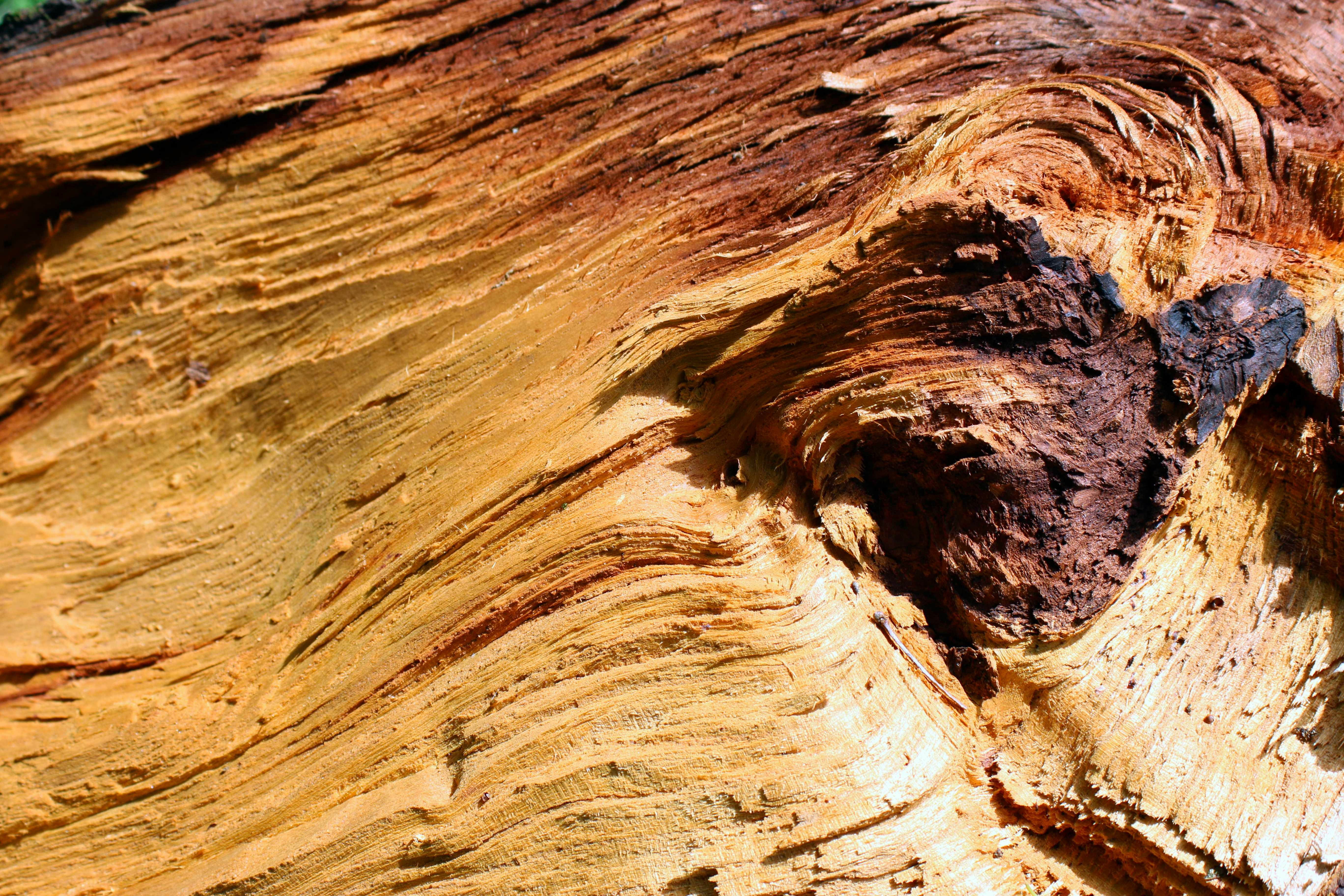 Photo by emi_frances