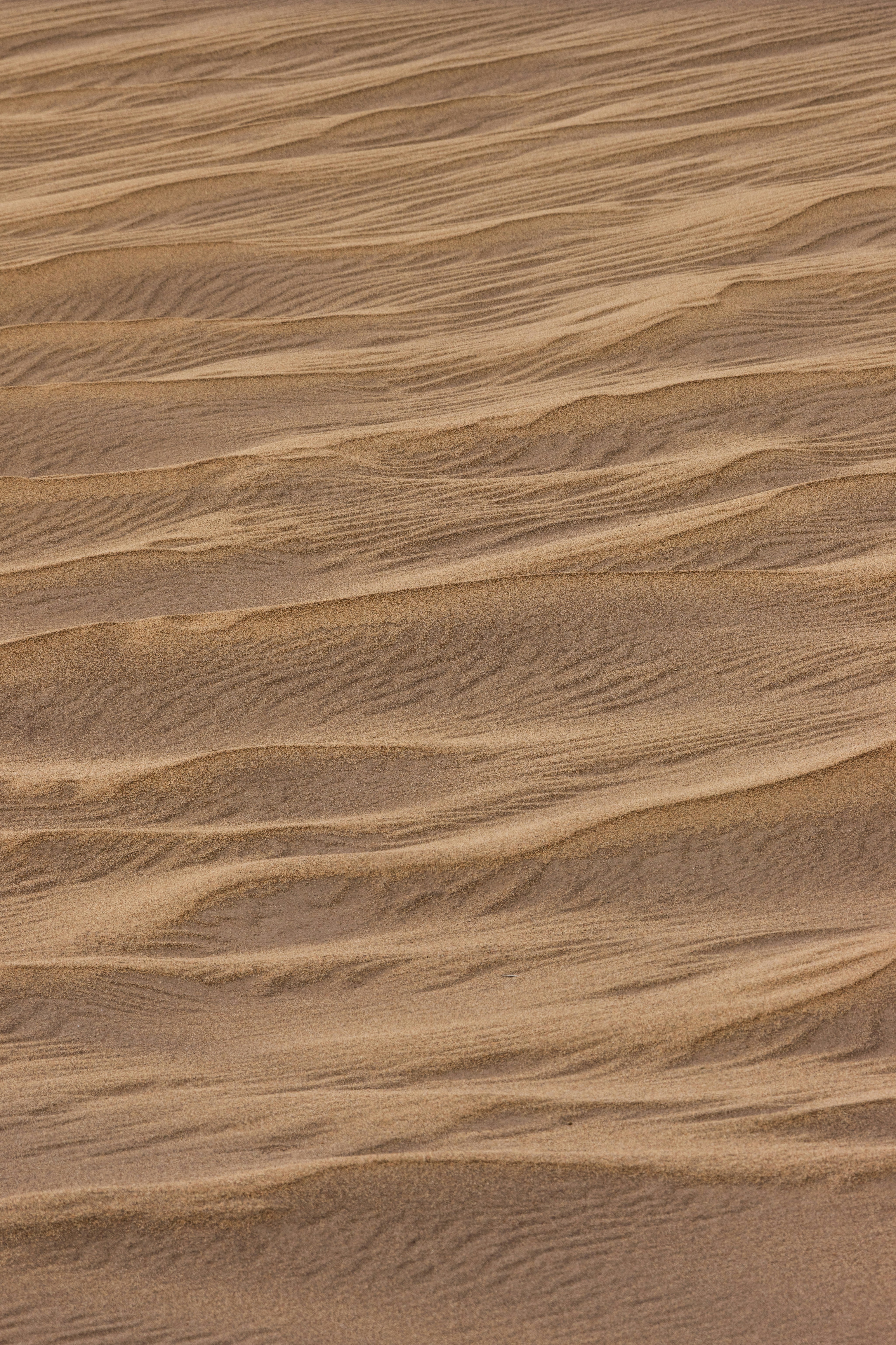 Photo by brandonstoll