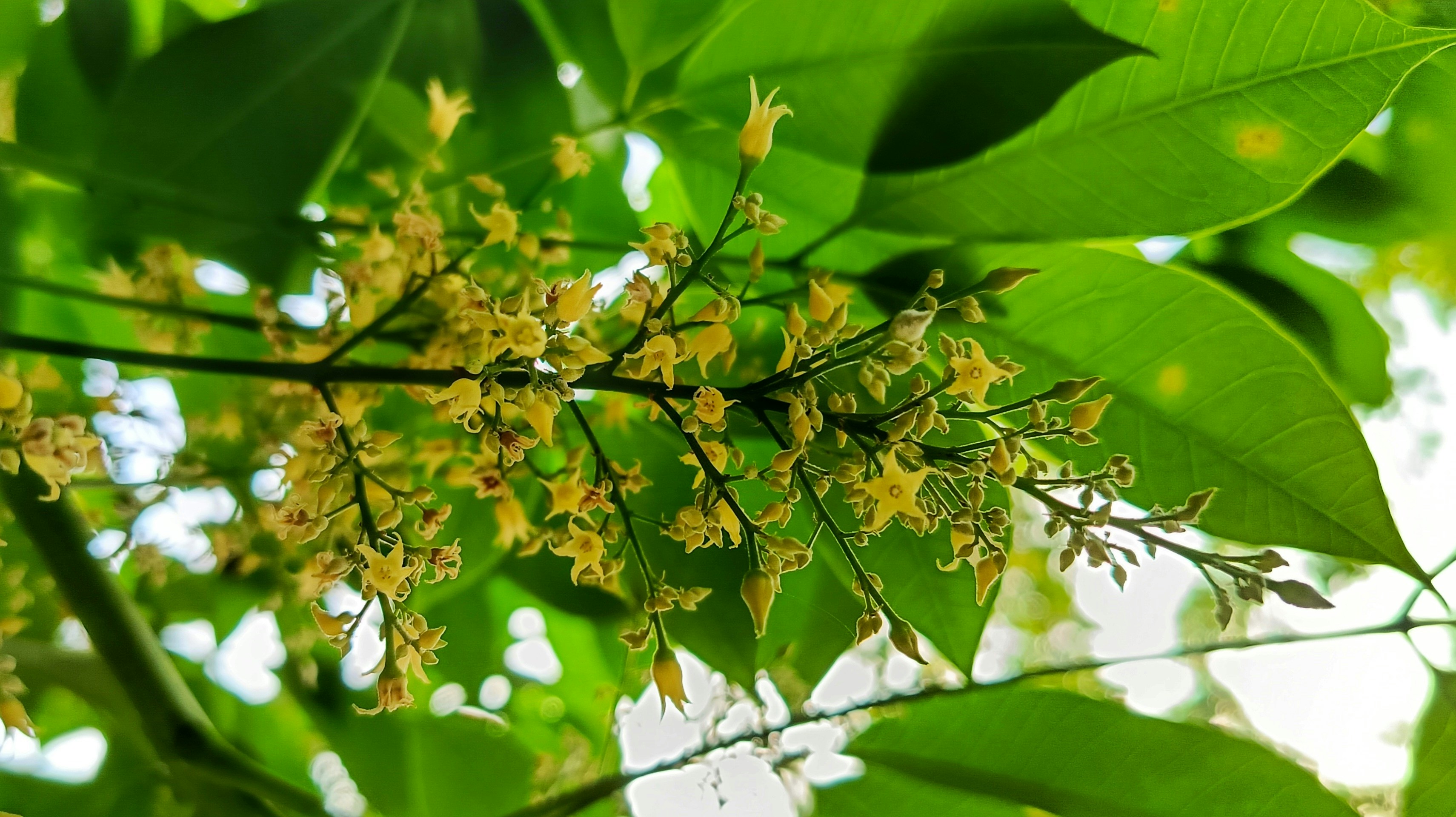 Photo by souravdnath1