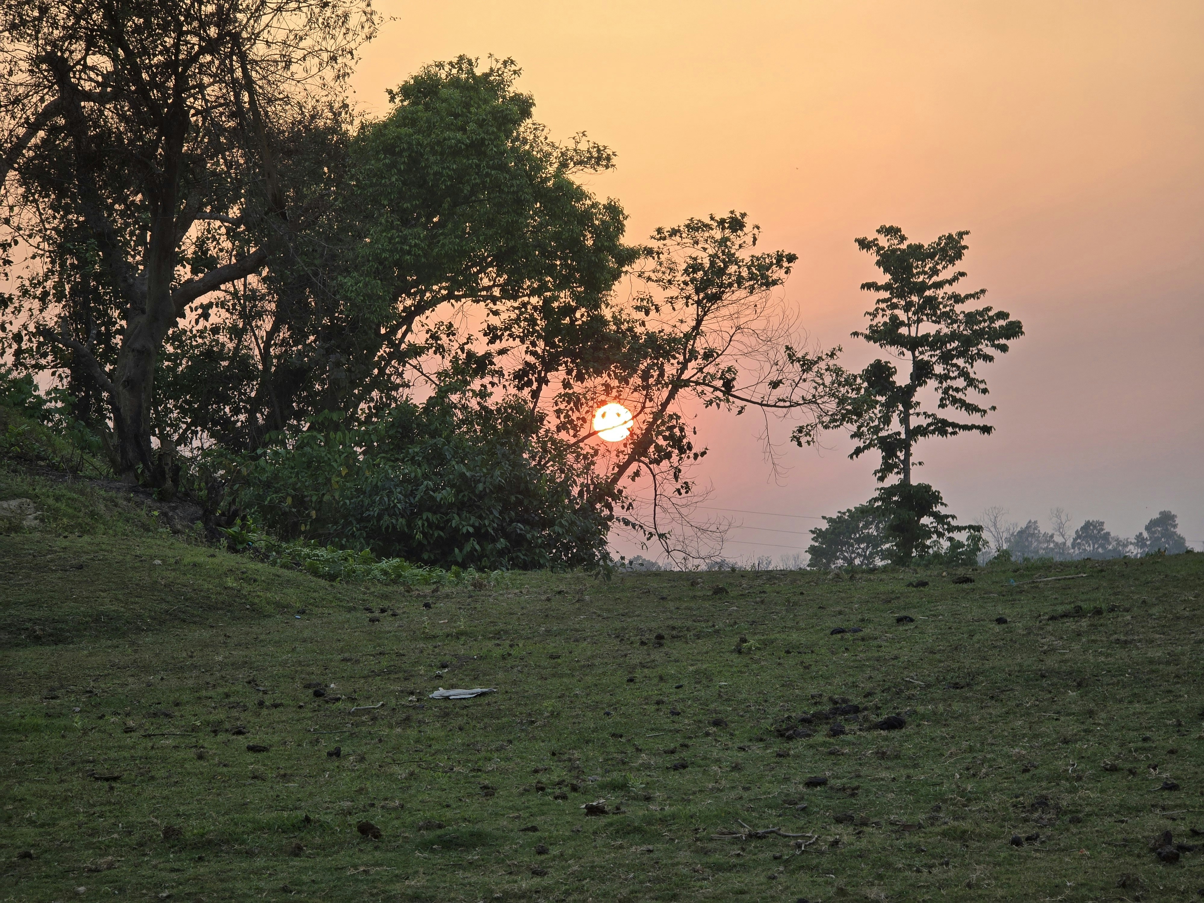 Photo by souravdnath1