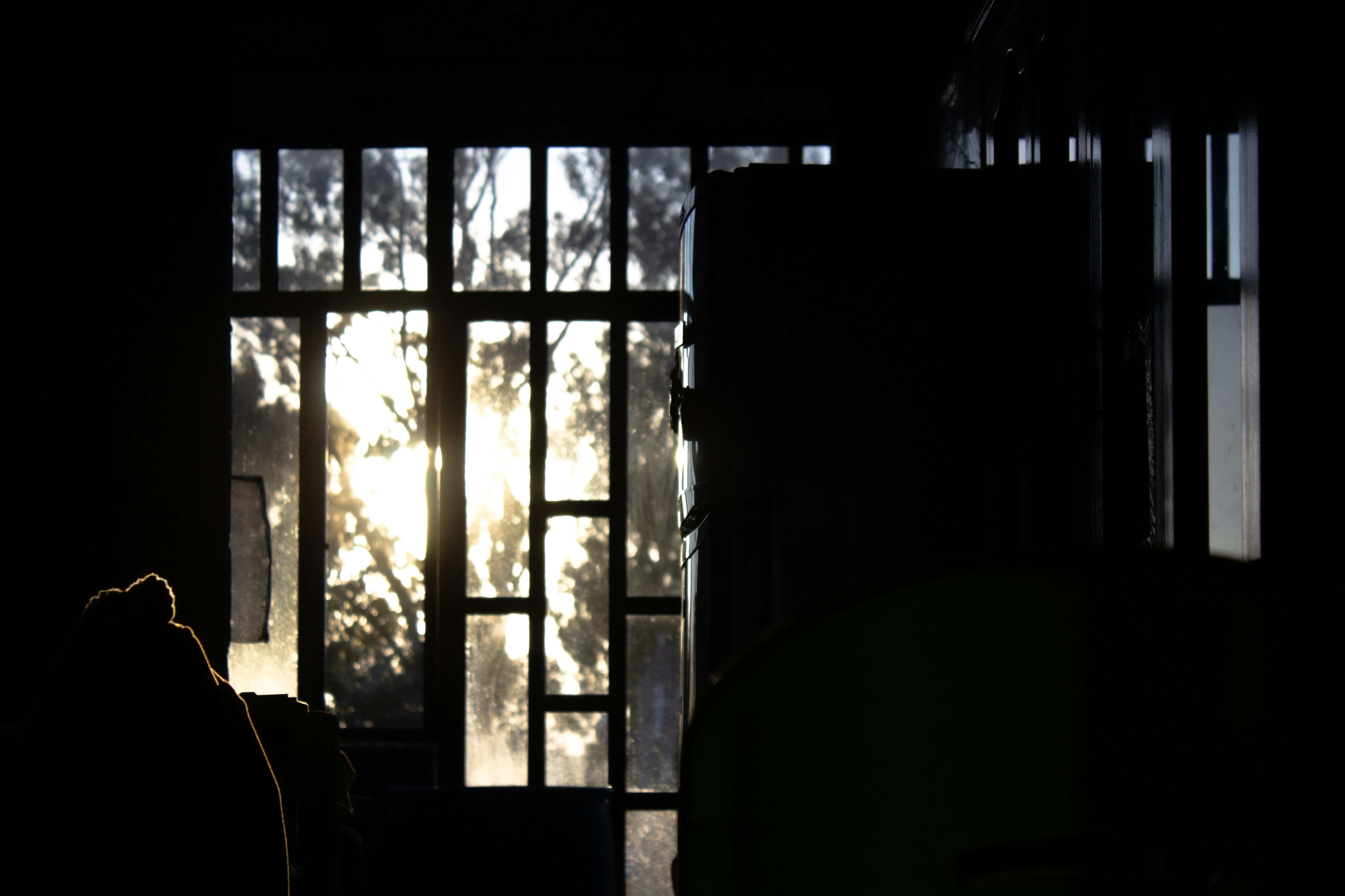 Photo by thalittlemarc