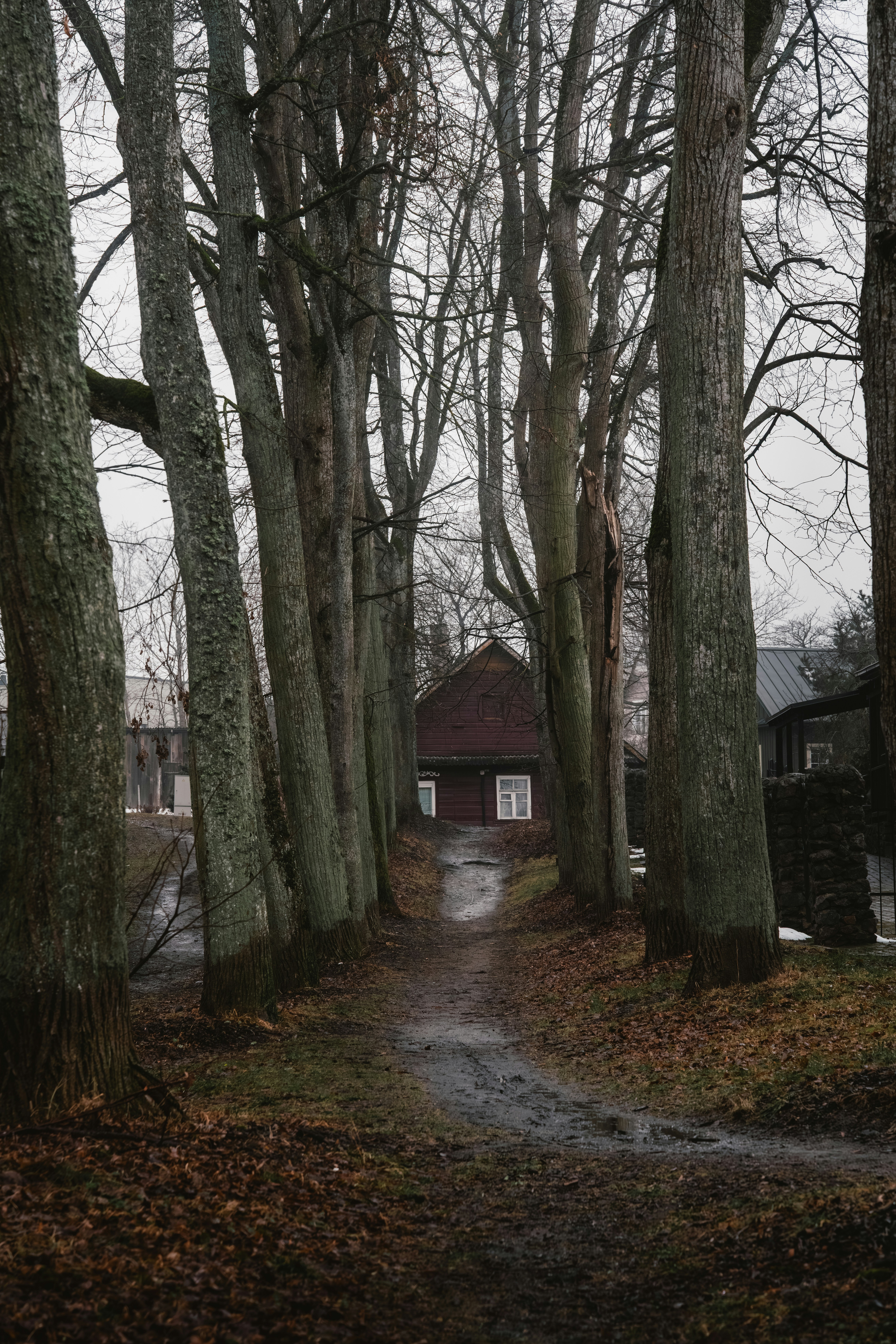 Photo by ahmetyuksek