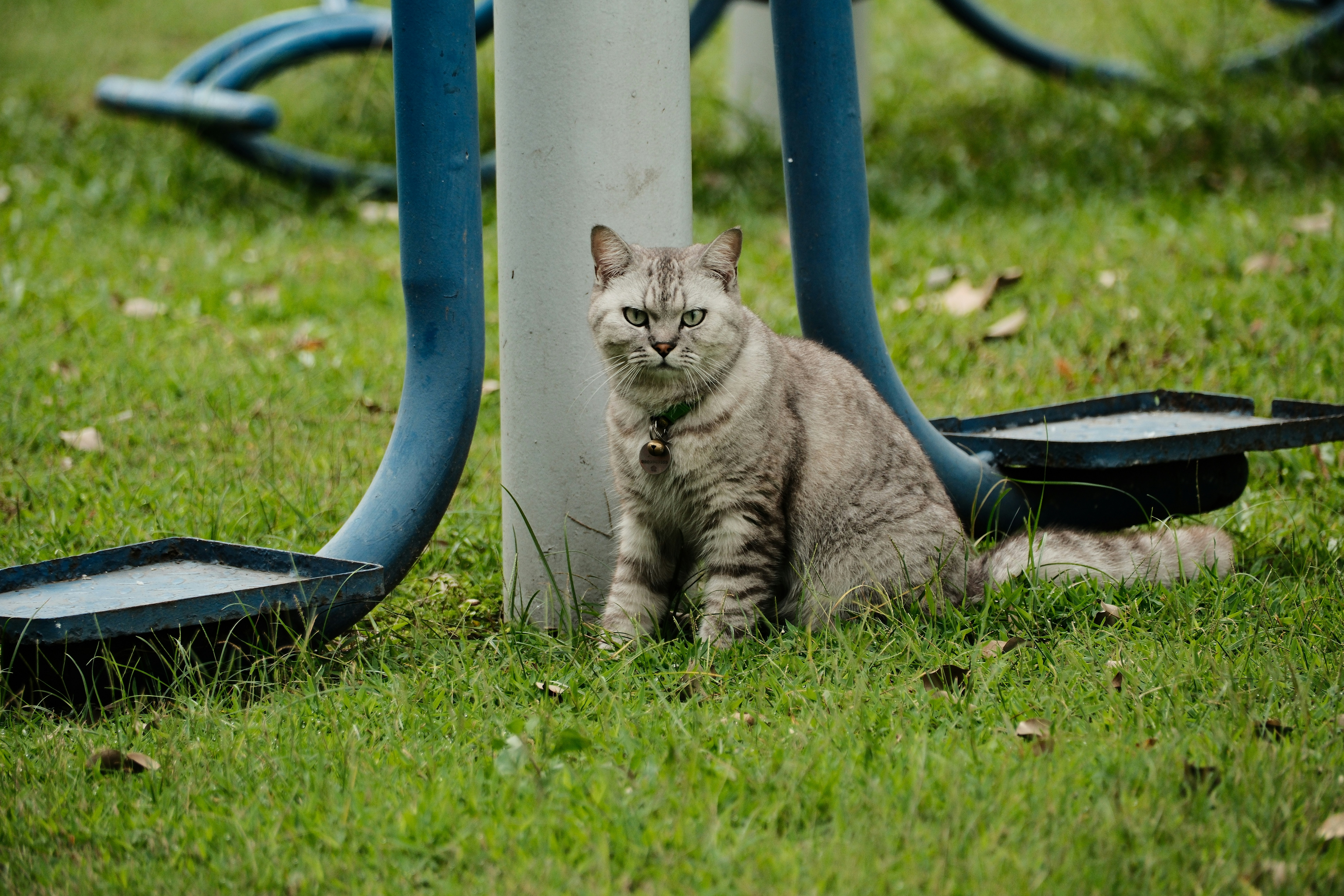 切尔西那不勒斯接近达成巴迪亚希勒租借加买断协议｜开云棋牌（封面配图）