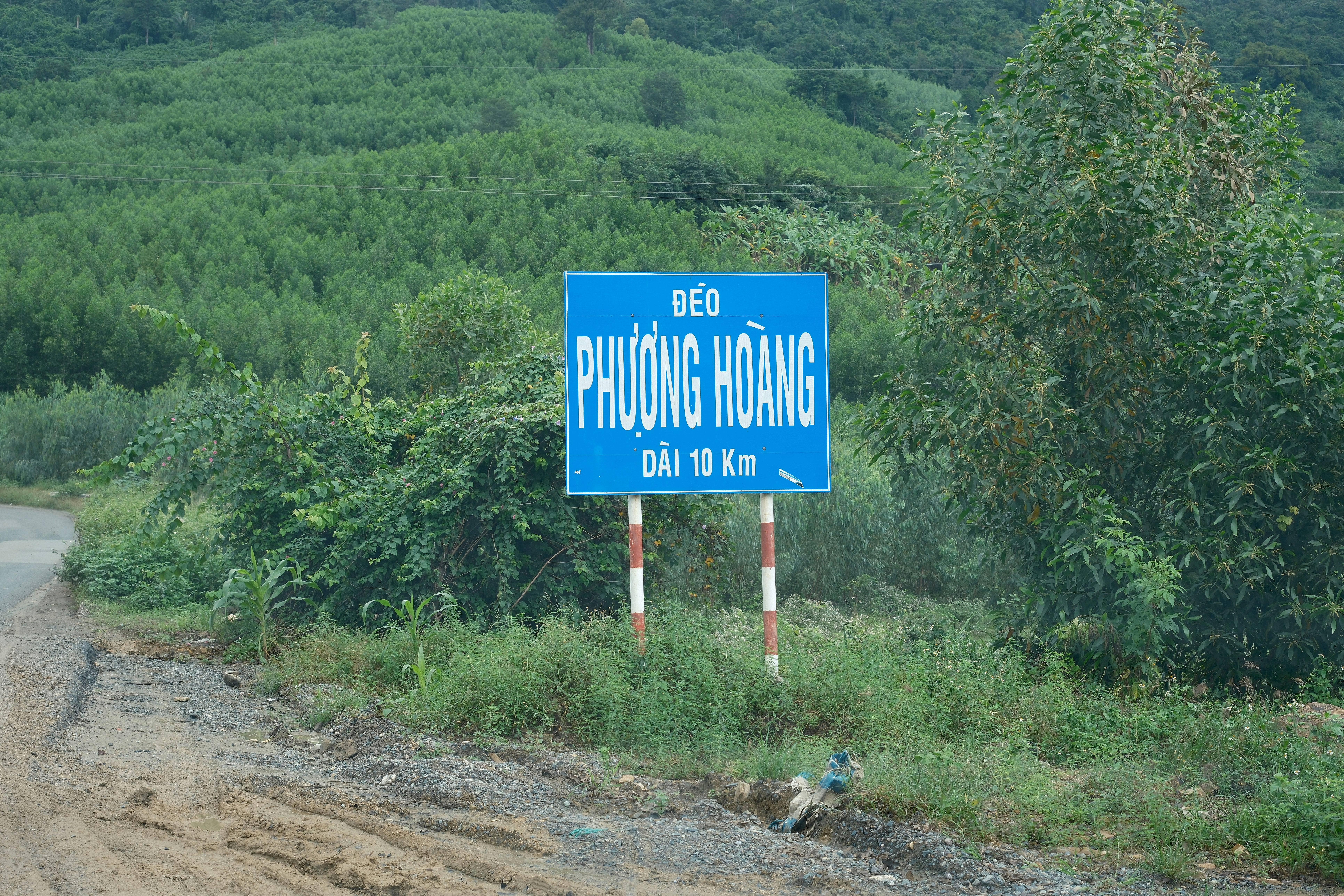 Road sign in vietnamese with direction information.