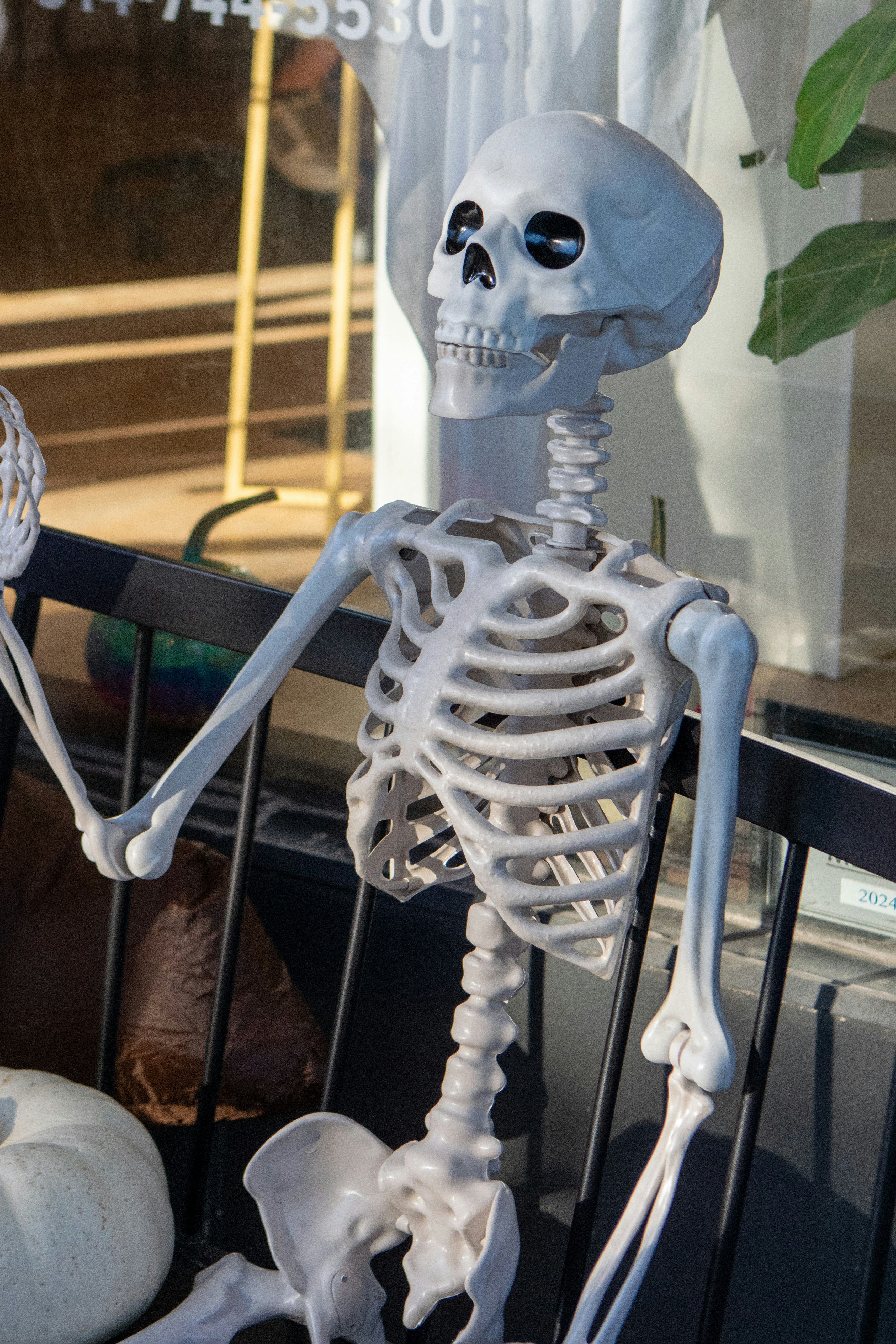 Photo by sparkledump