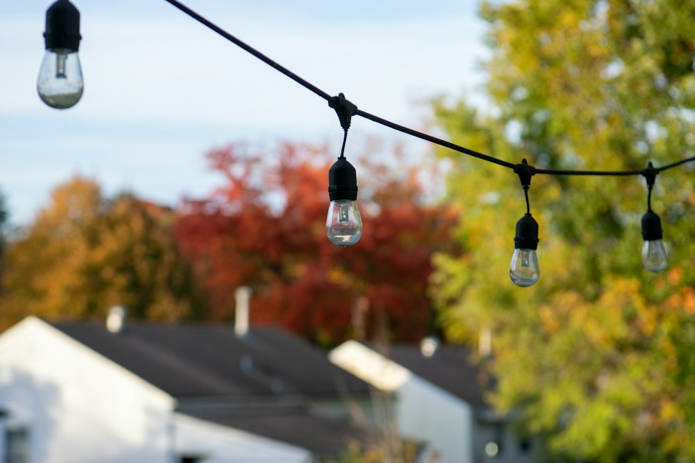 Bistro string lights stretched above homes and fall trees