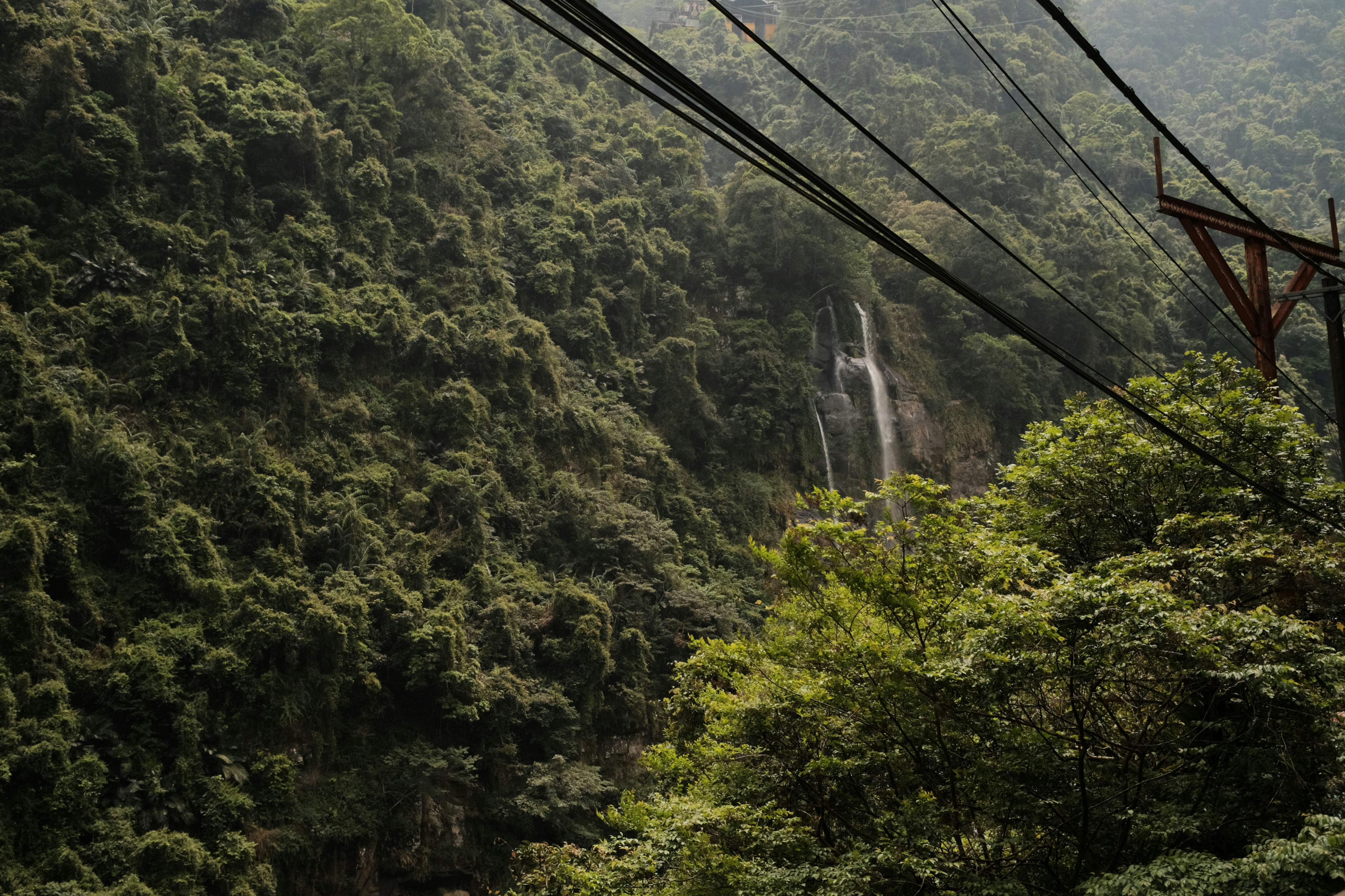 Photo by emilynguyen