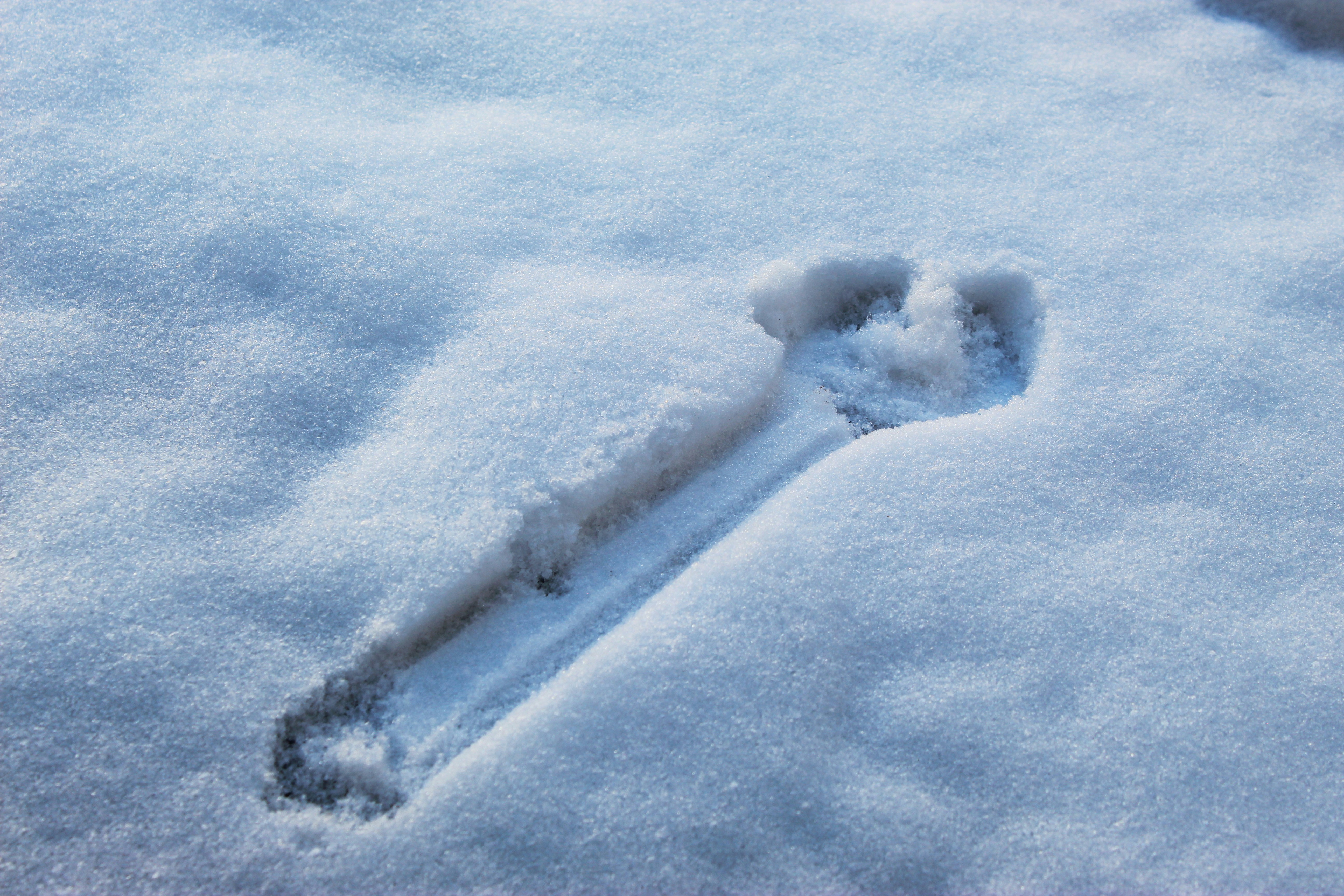 Snow Rake Buying Guide: Never Regret Your Choice Again