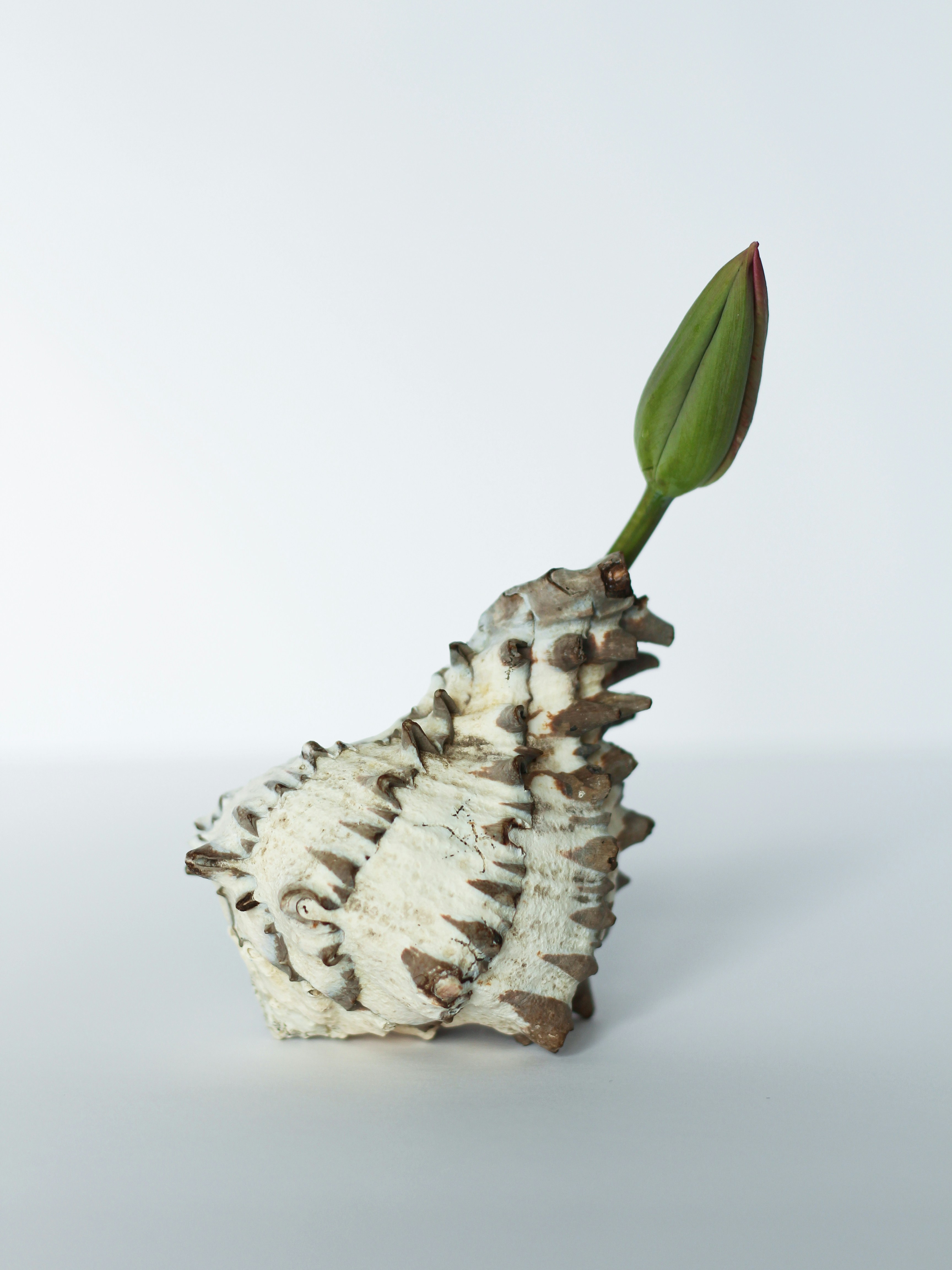 Growth and transformation