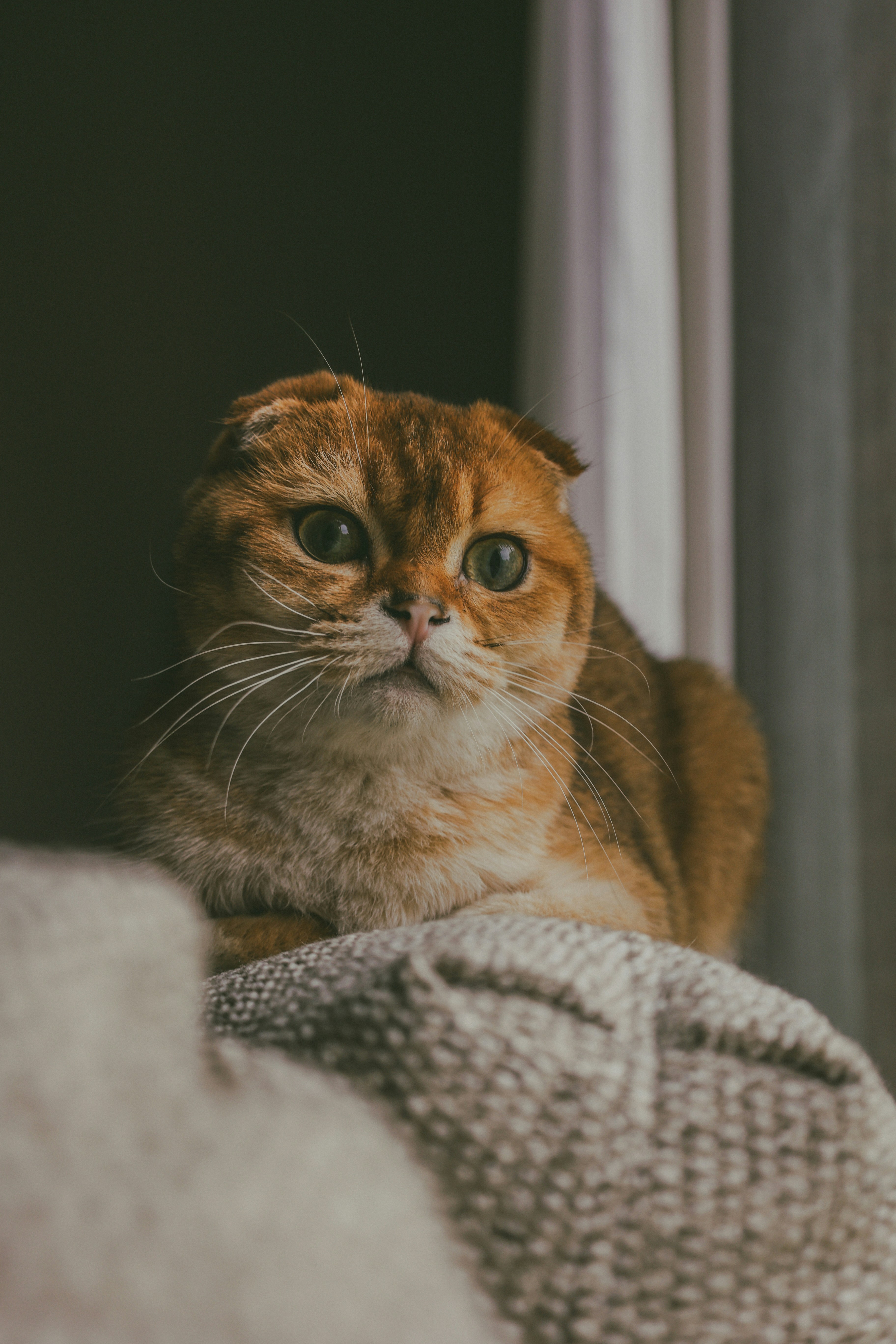 Photo by brookebalentine