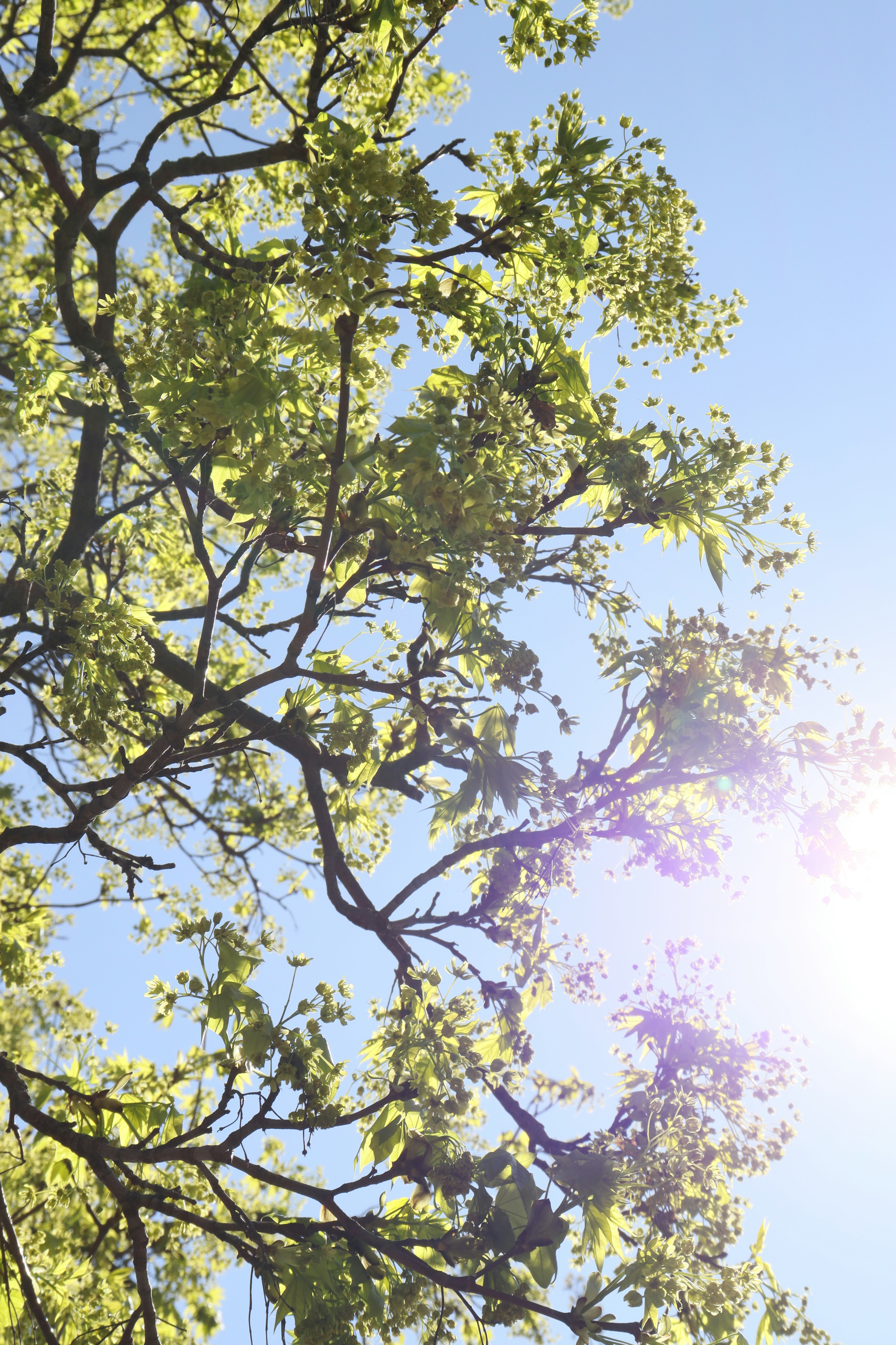 Photo by bored_mongoose