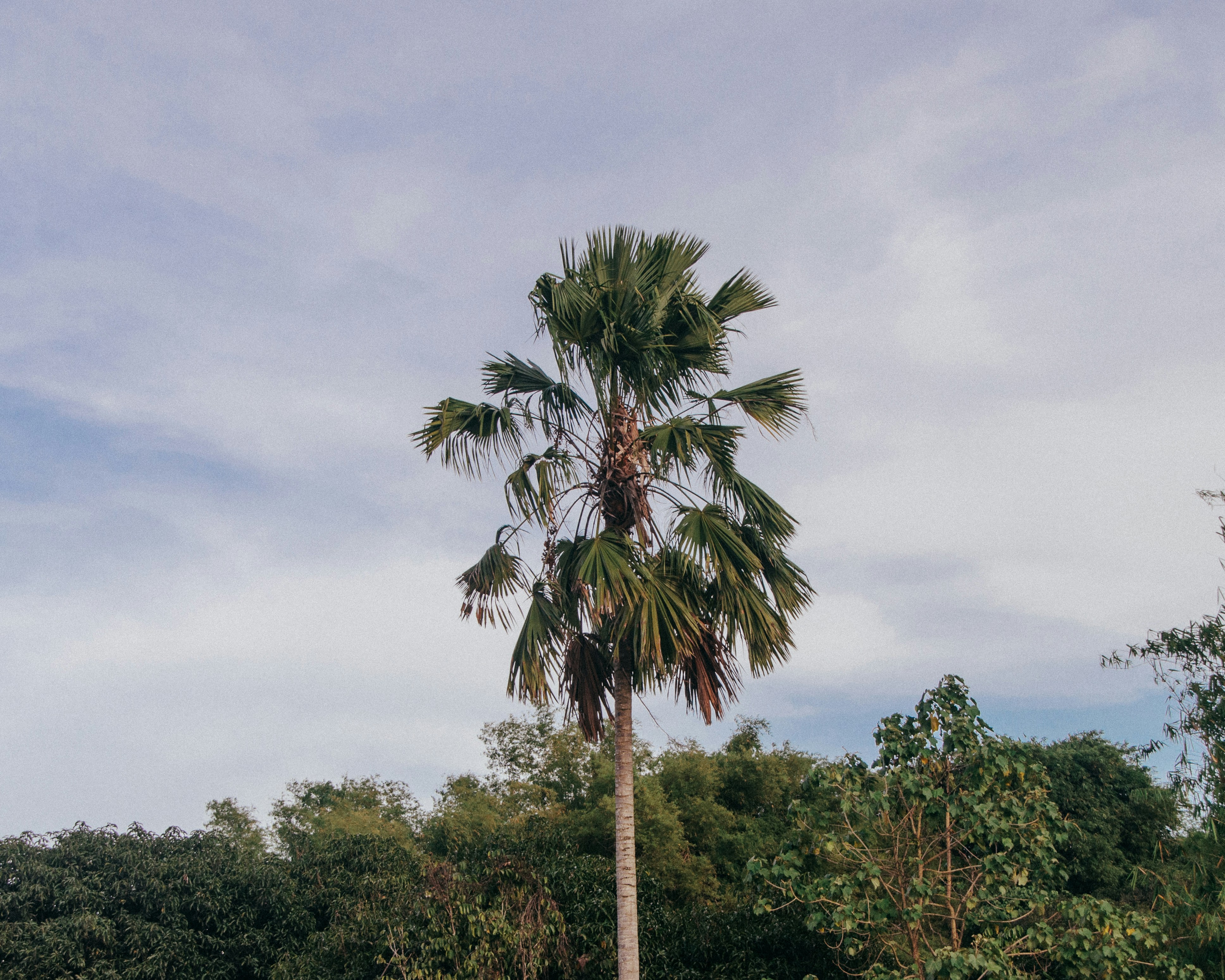 Photo by andrewsqcriz