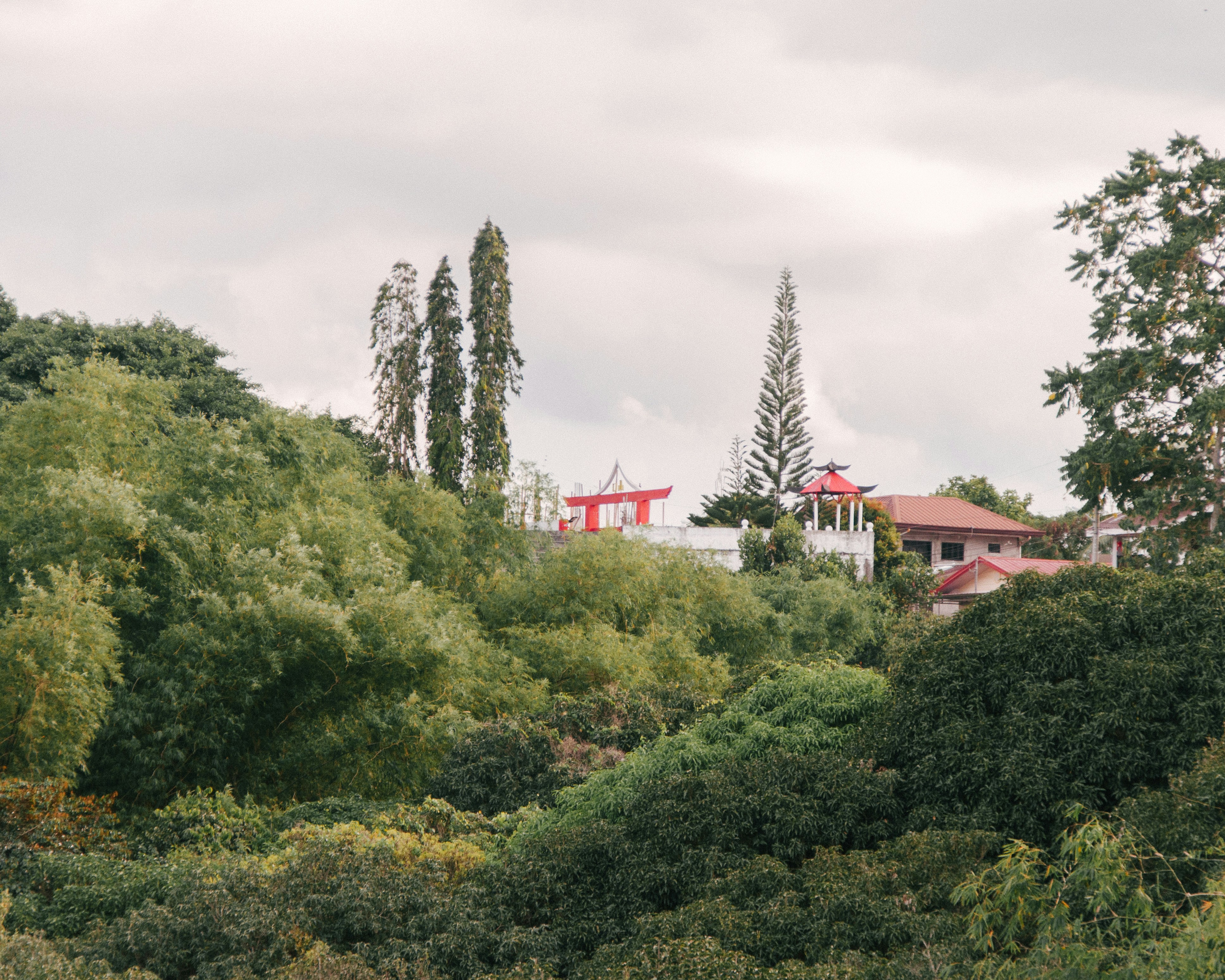 Buildings peak out from lush green foliage.