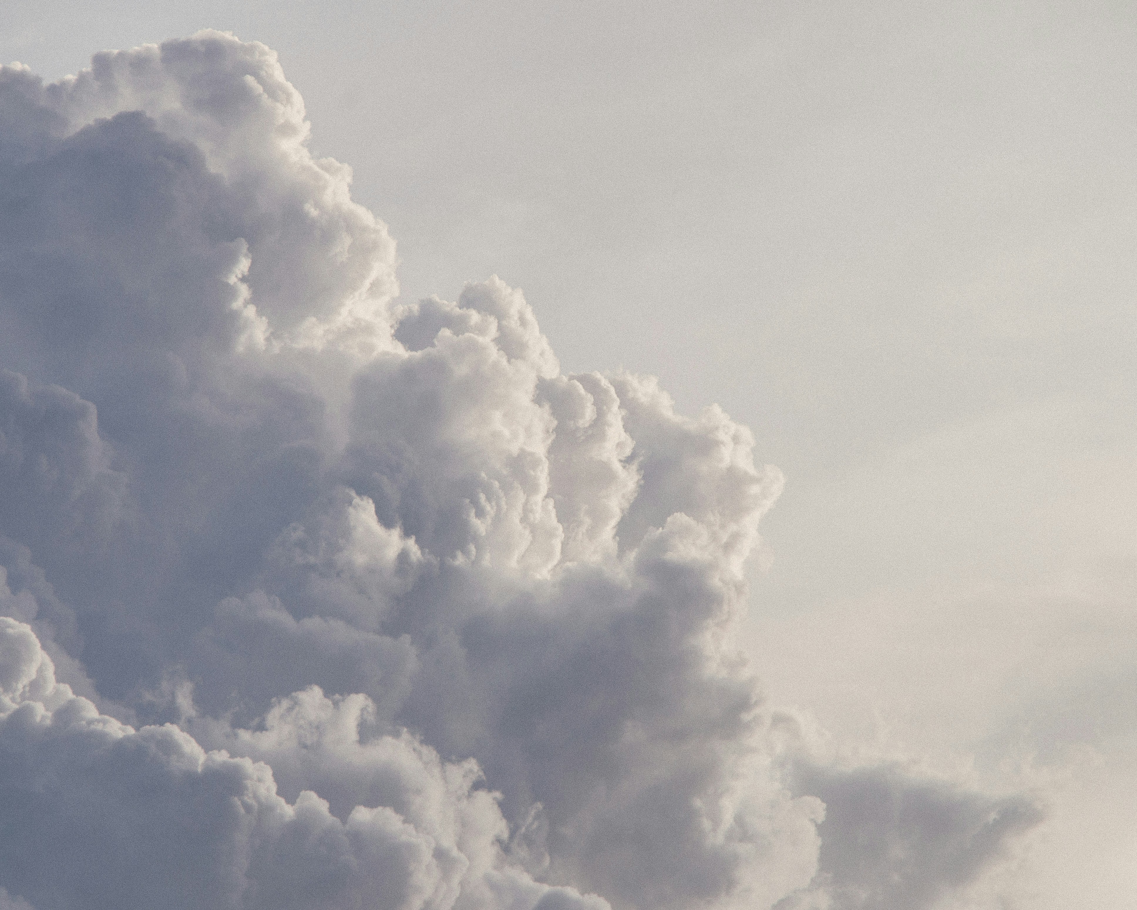 Photo by andrewsqcriz