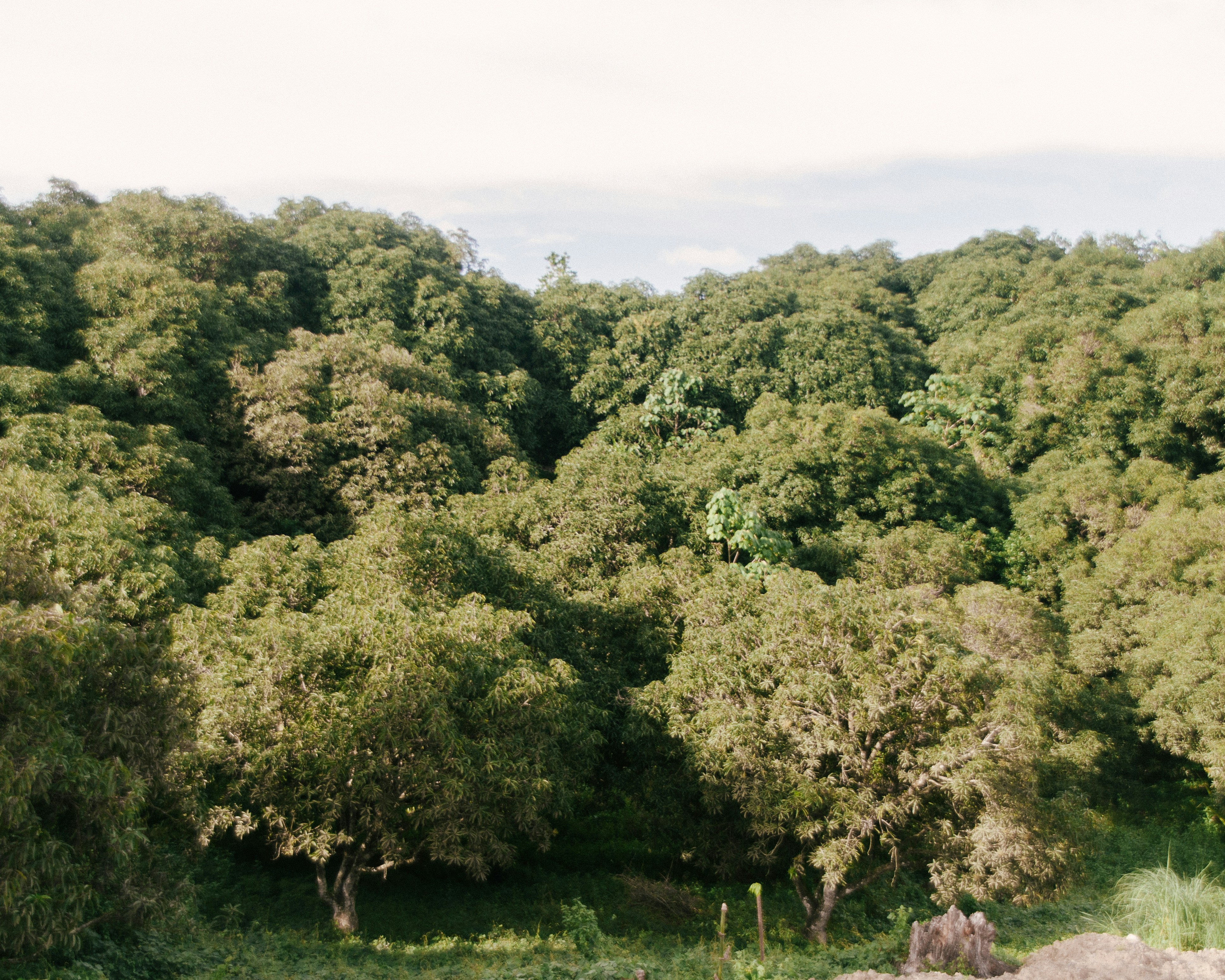 Photo by andrewsqcriz