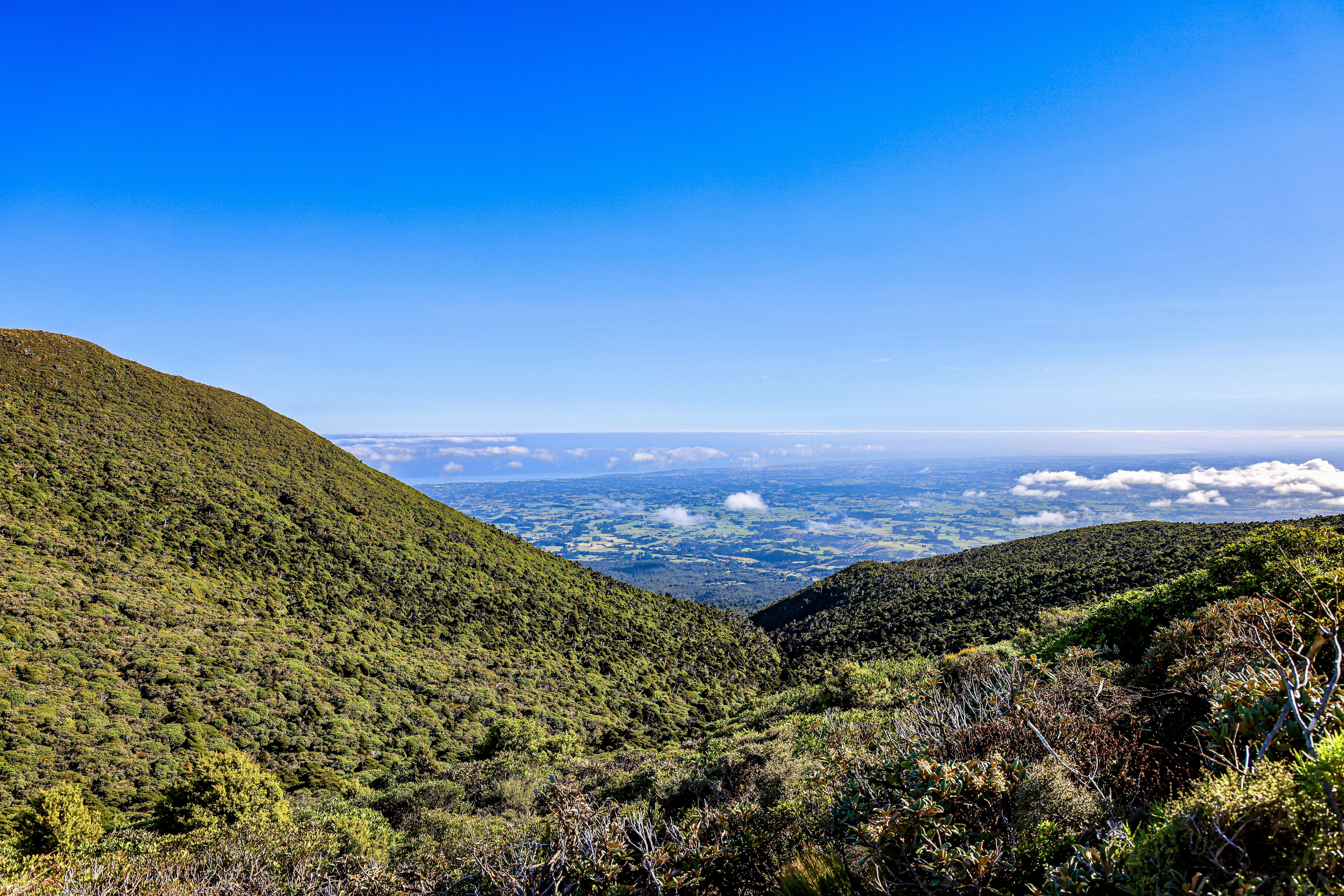 Photo by maximilian_brand