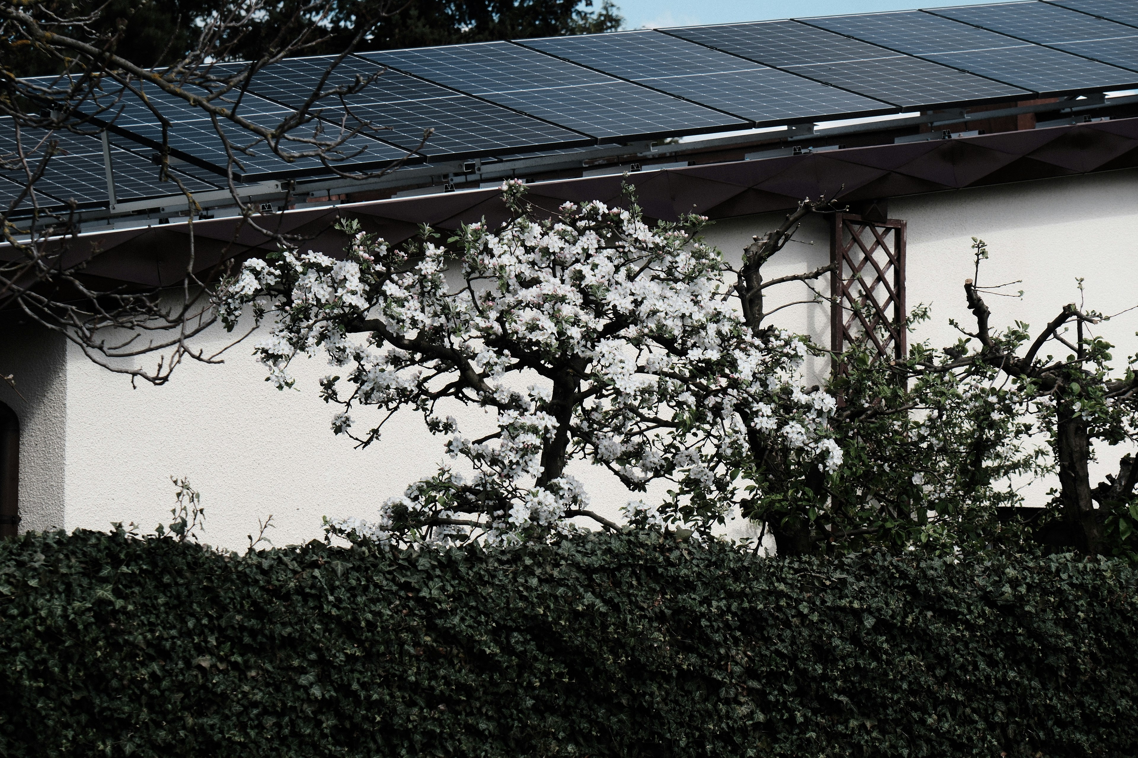 Spring Pollen Is Silently Stealing Your Solar Power — Here's How Much and What to Do About It