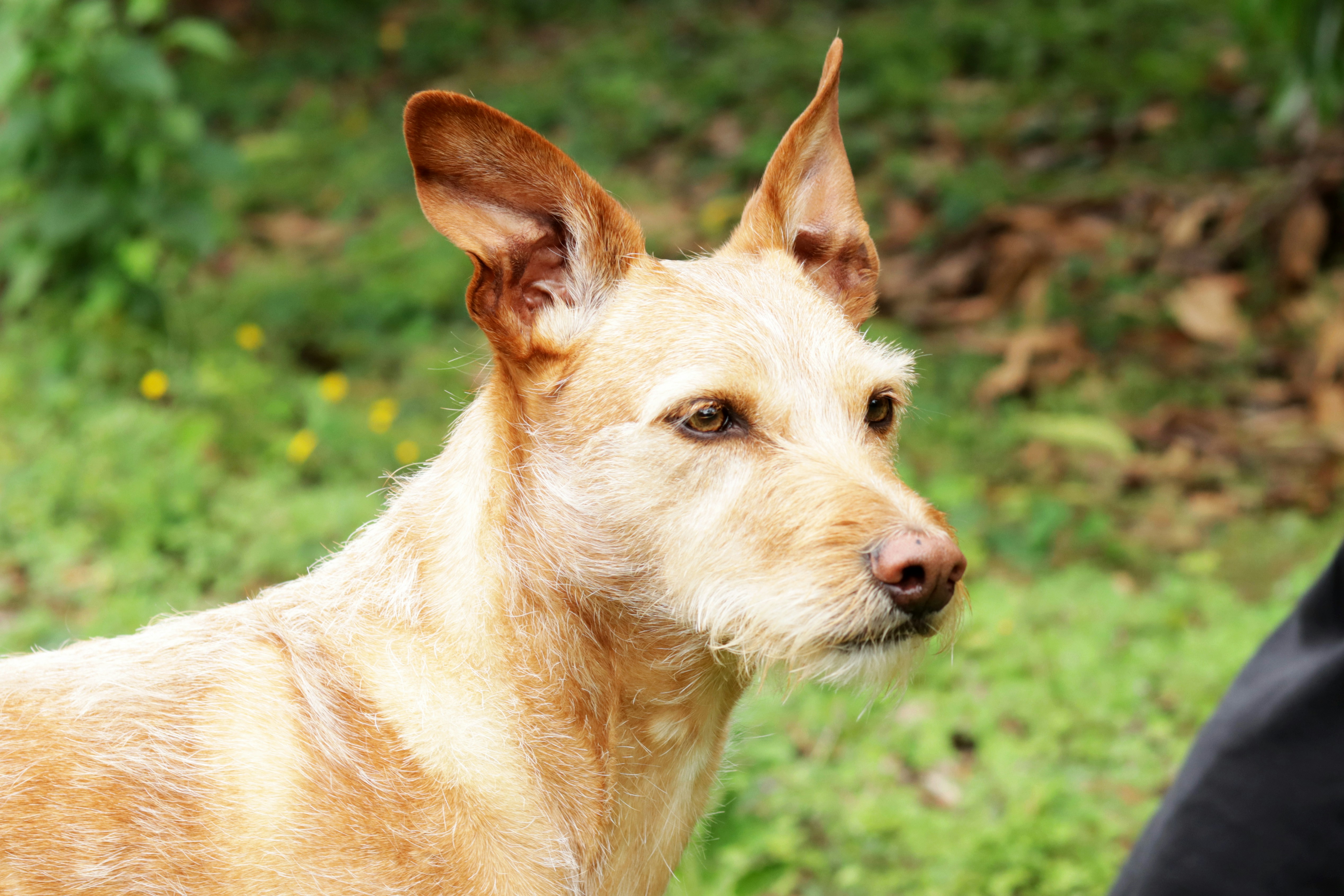 Photo by carolinagrants