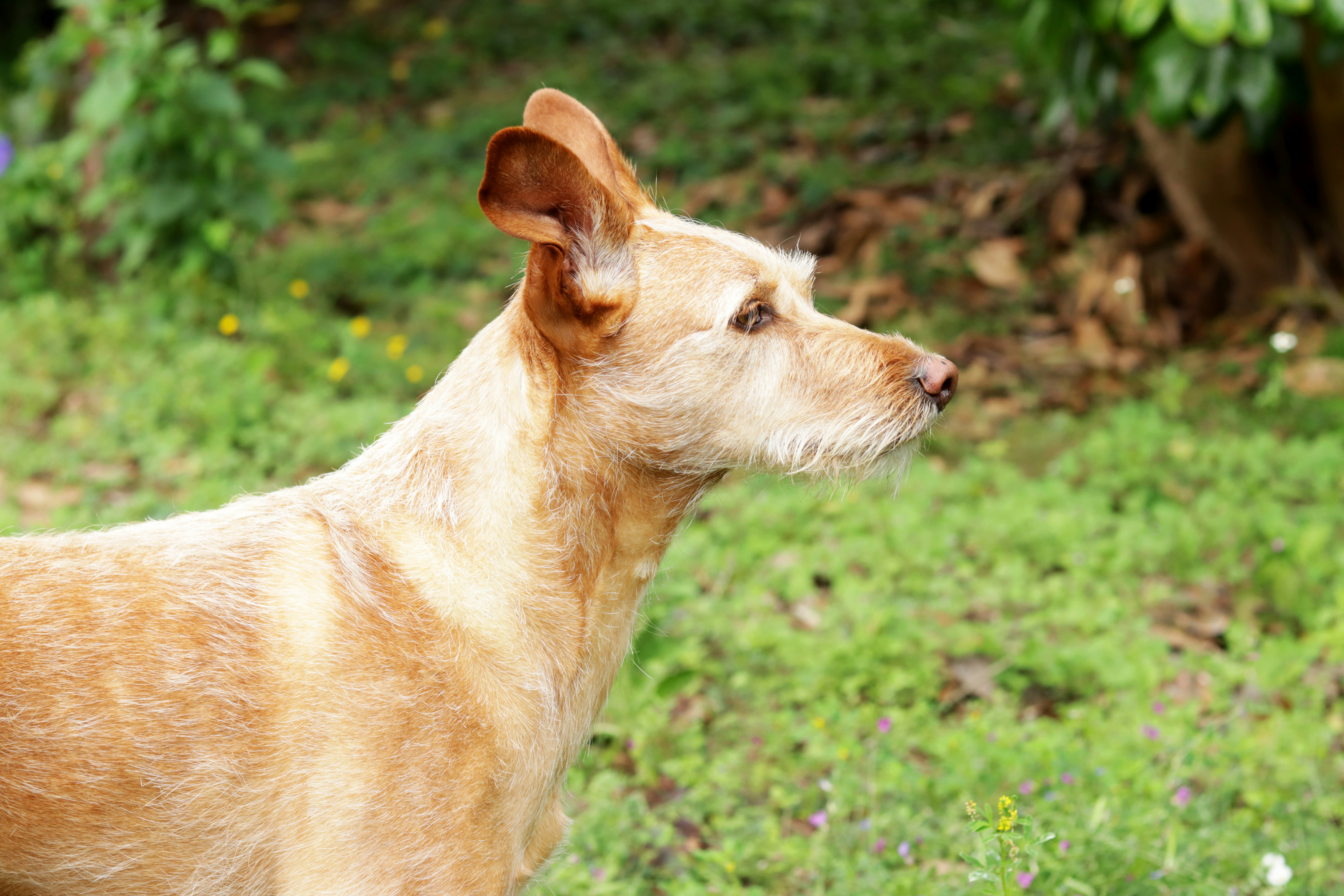 Photo by carolinagrants