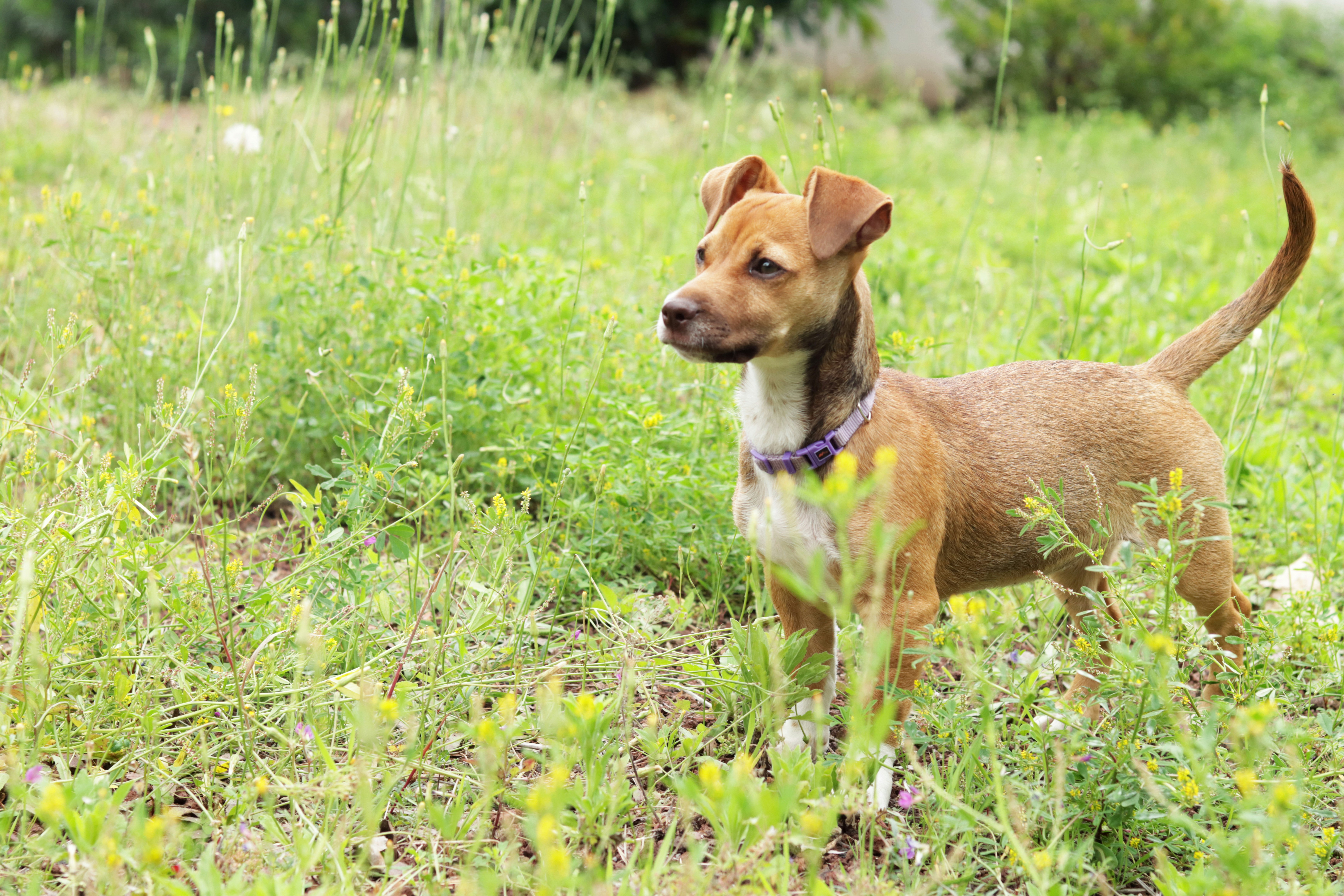 Photo by carolinagrants