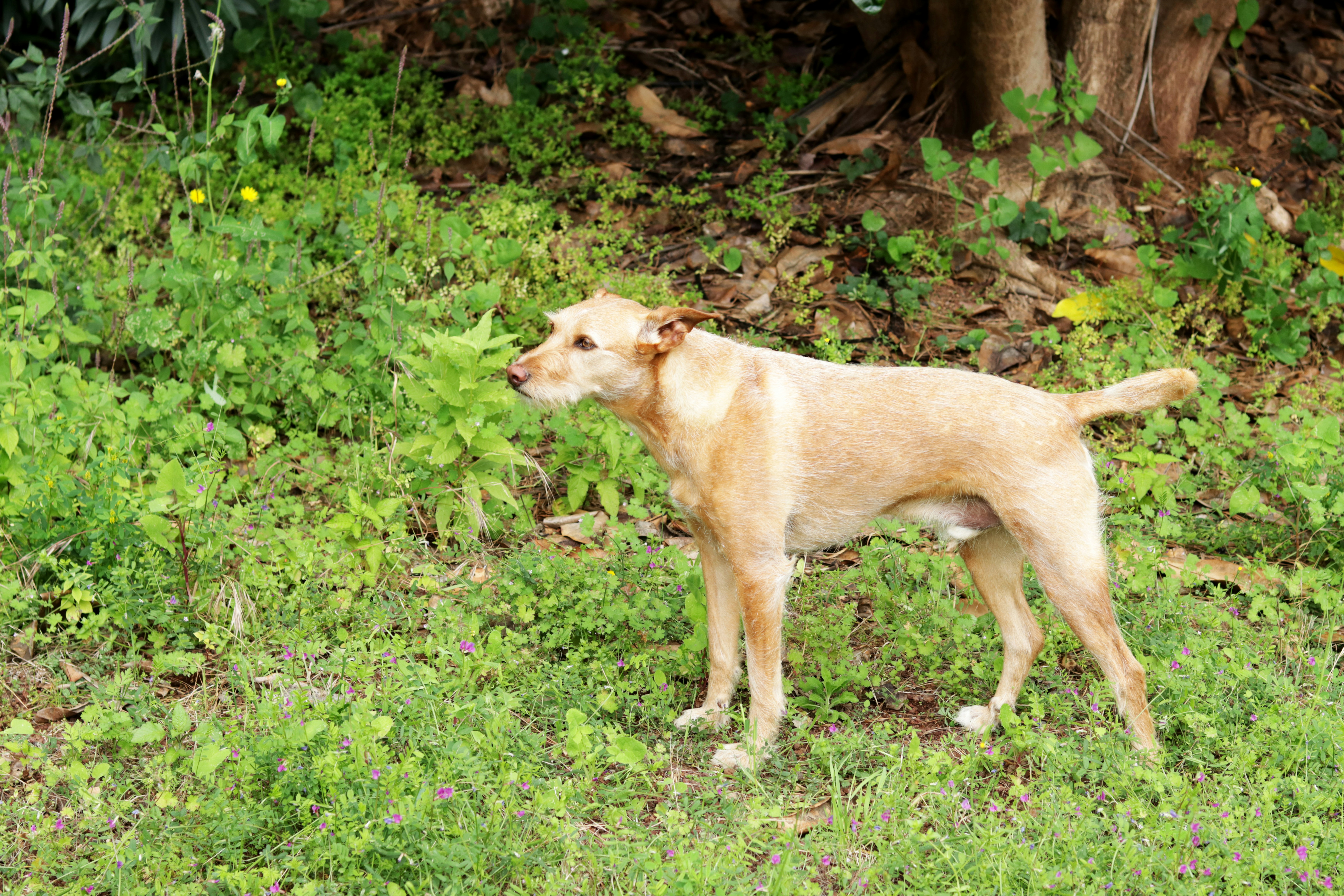 Photo by carolinagrants