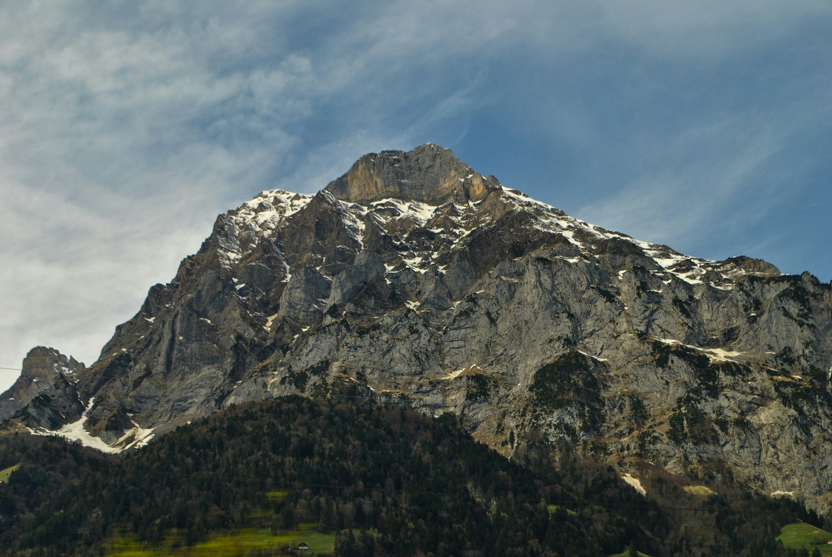 Photo by capybarafoto
