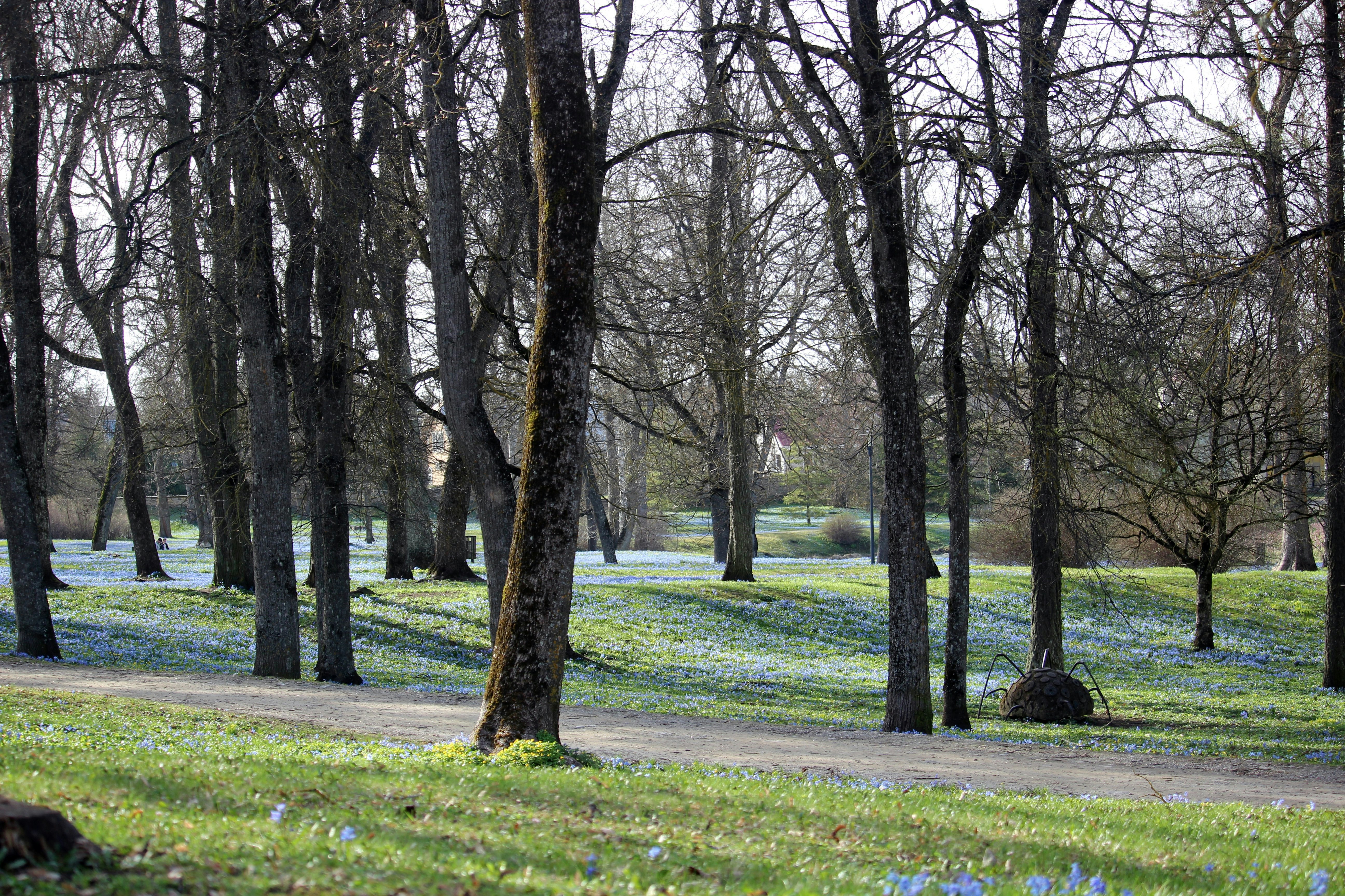 Gagarini Park