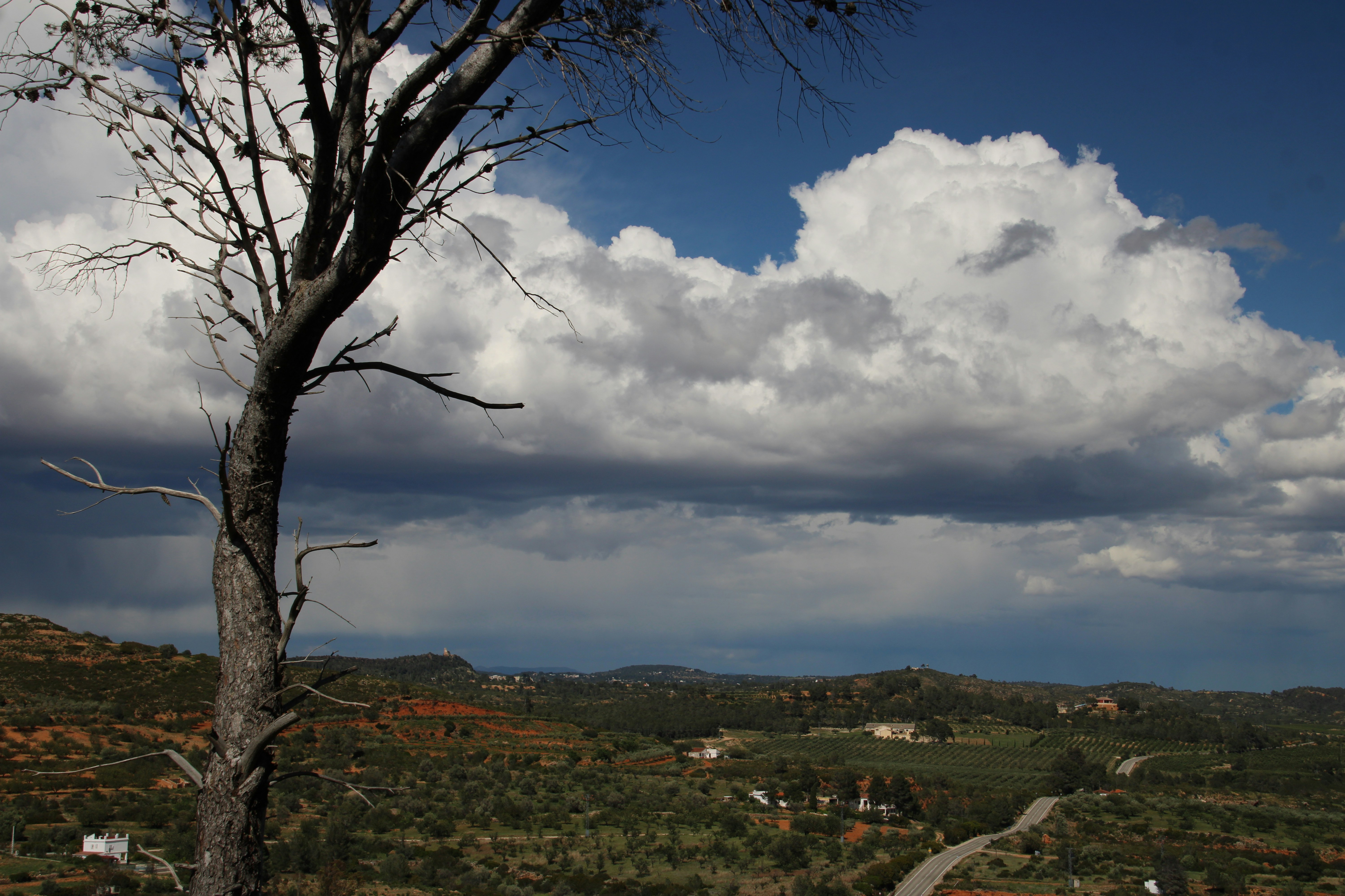 Photo by ludovico_06