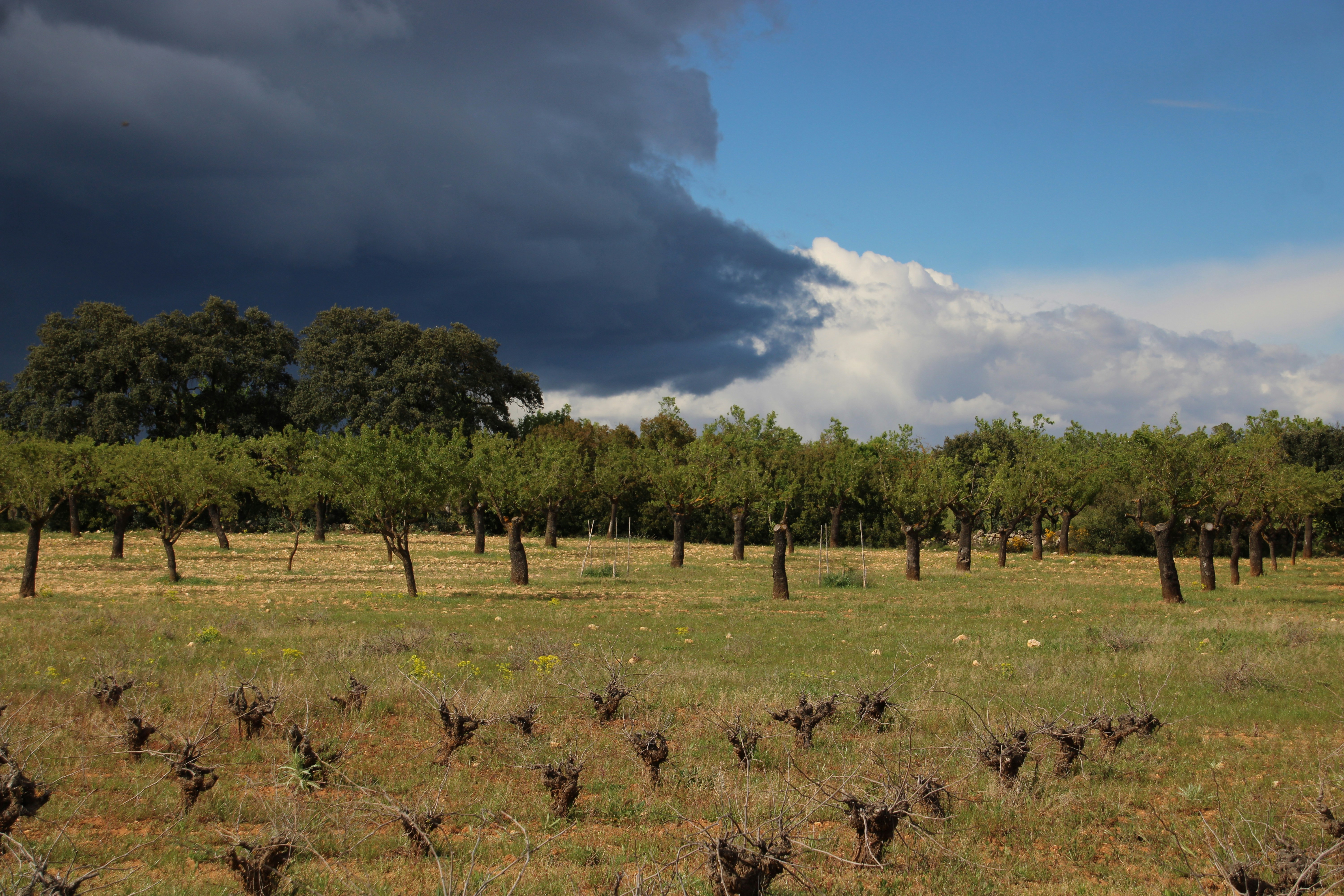 Photo by ludovico_06