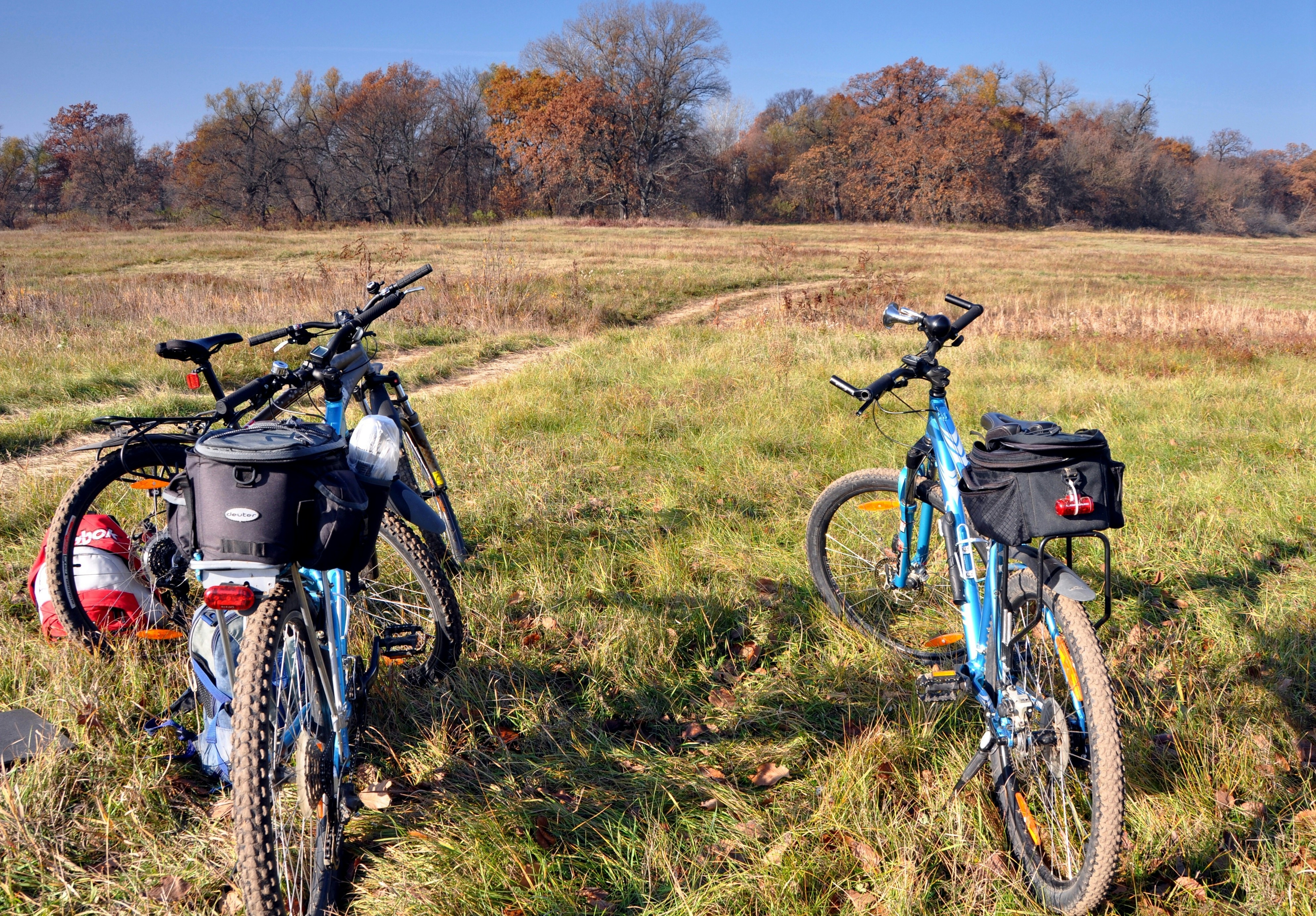 Mountain bikes on autumn trail