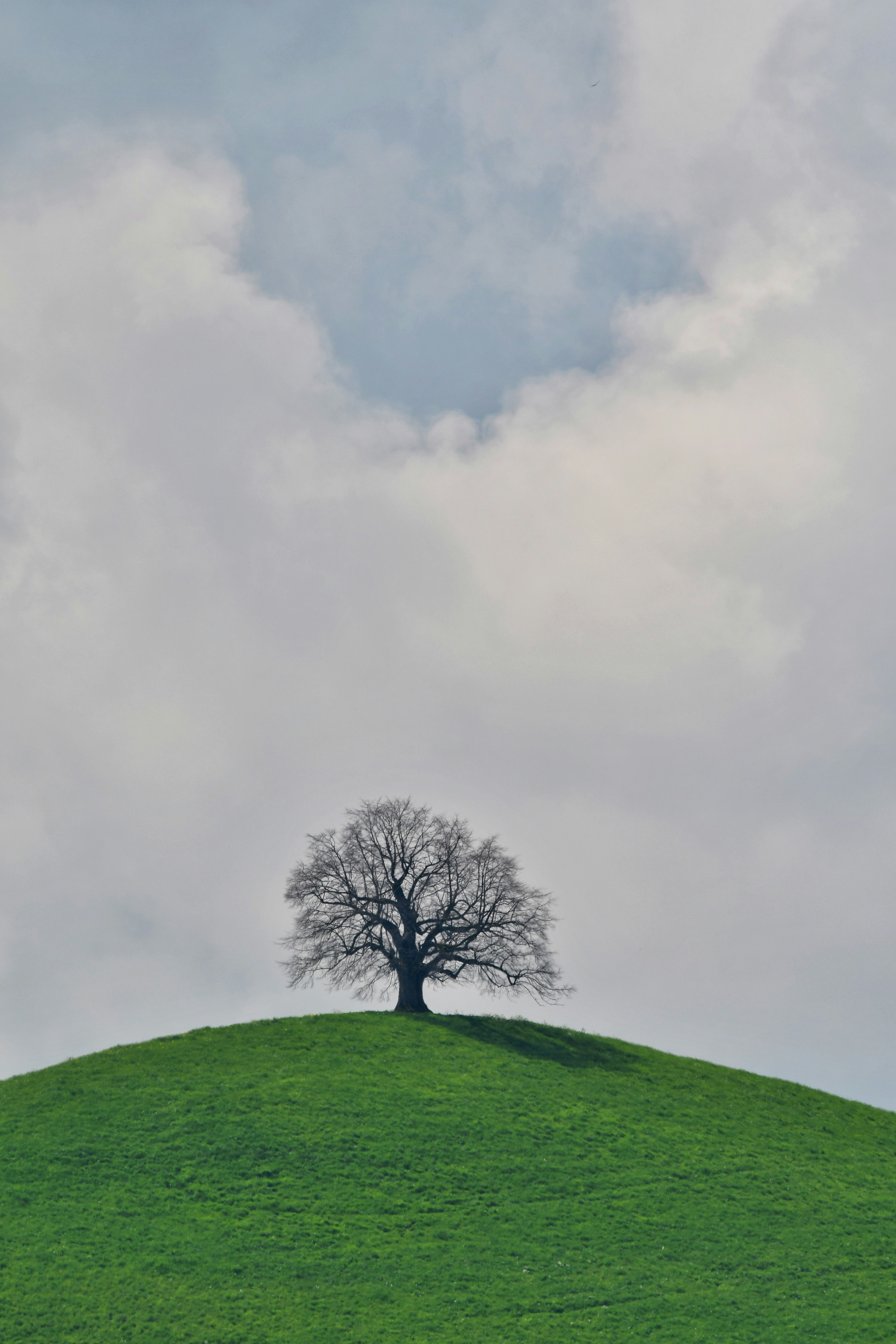 Photo by pedrino5_official