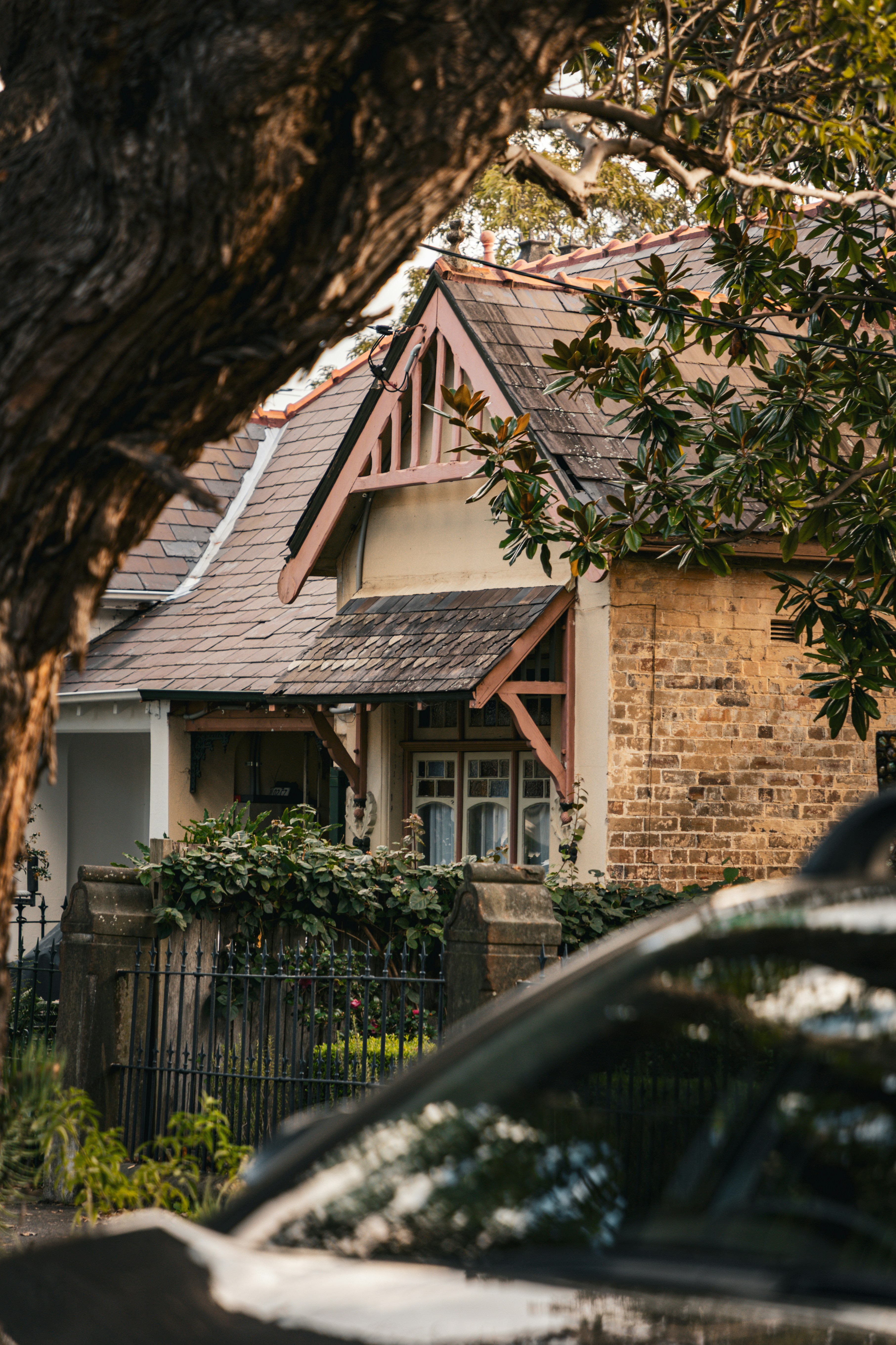 Photo by macourtmedia