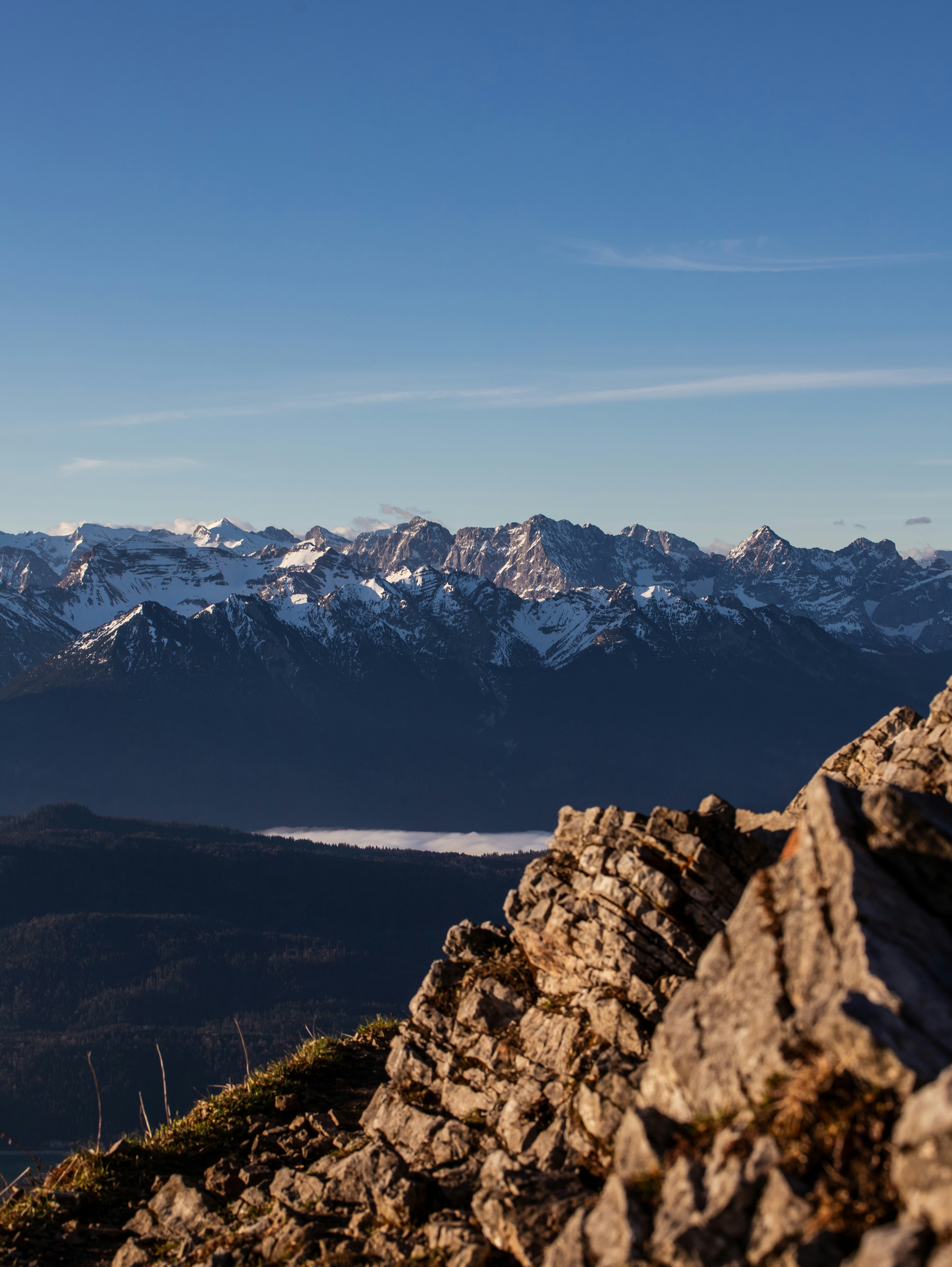 Photo by shutter_speed_