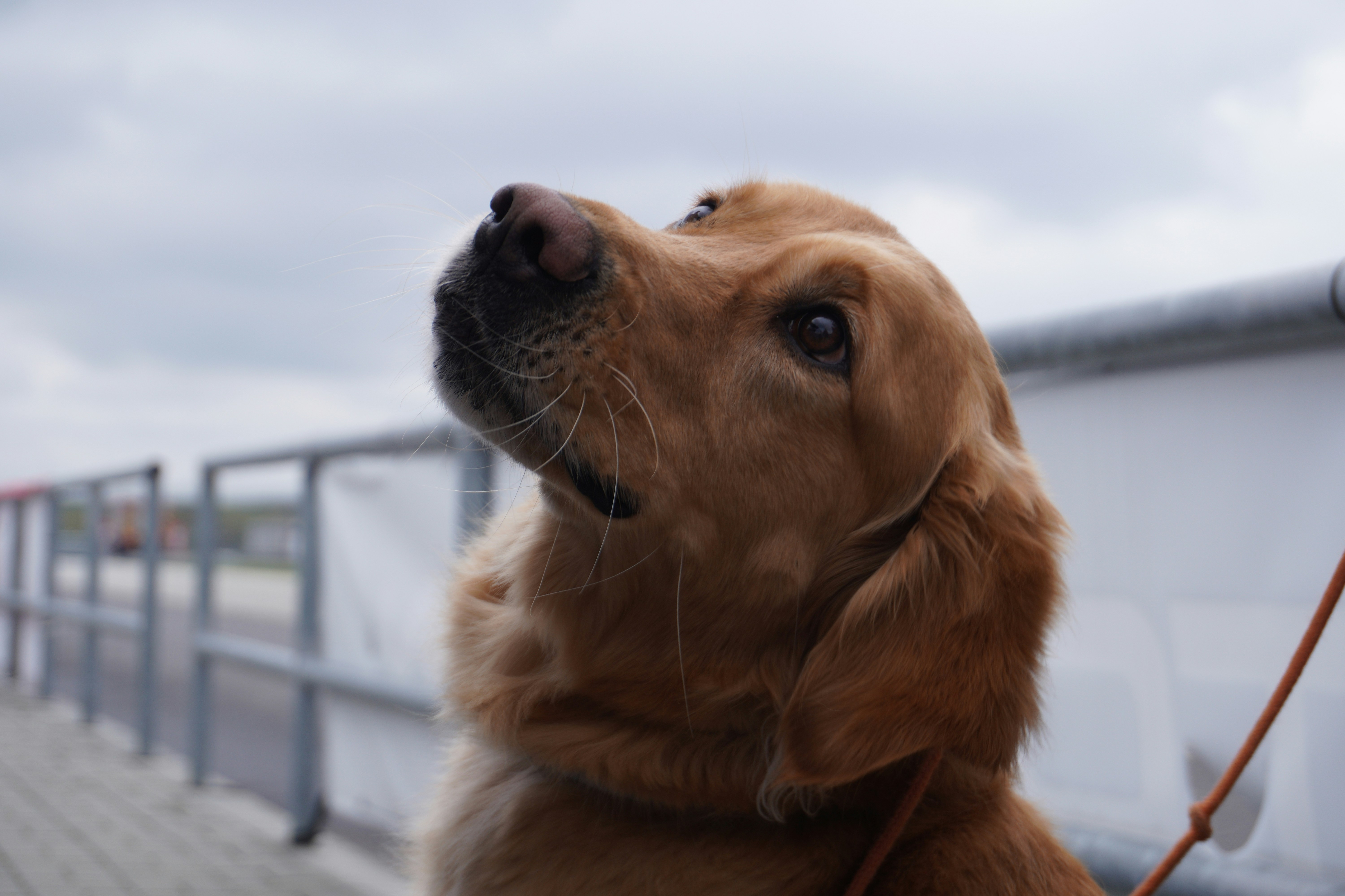 Photo by photosbymaple