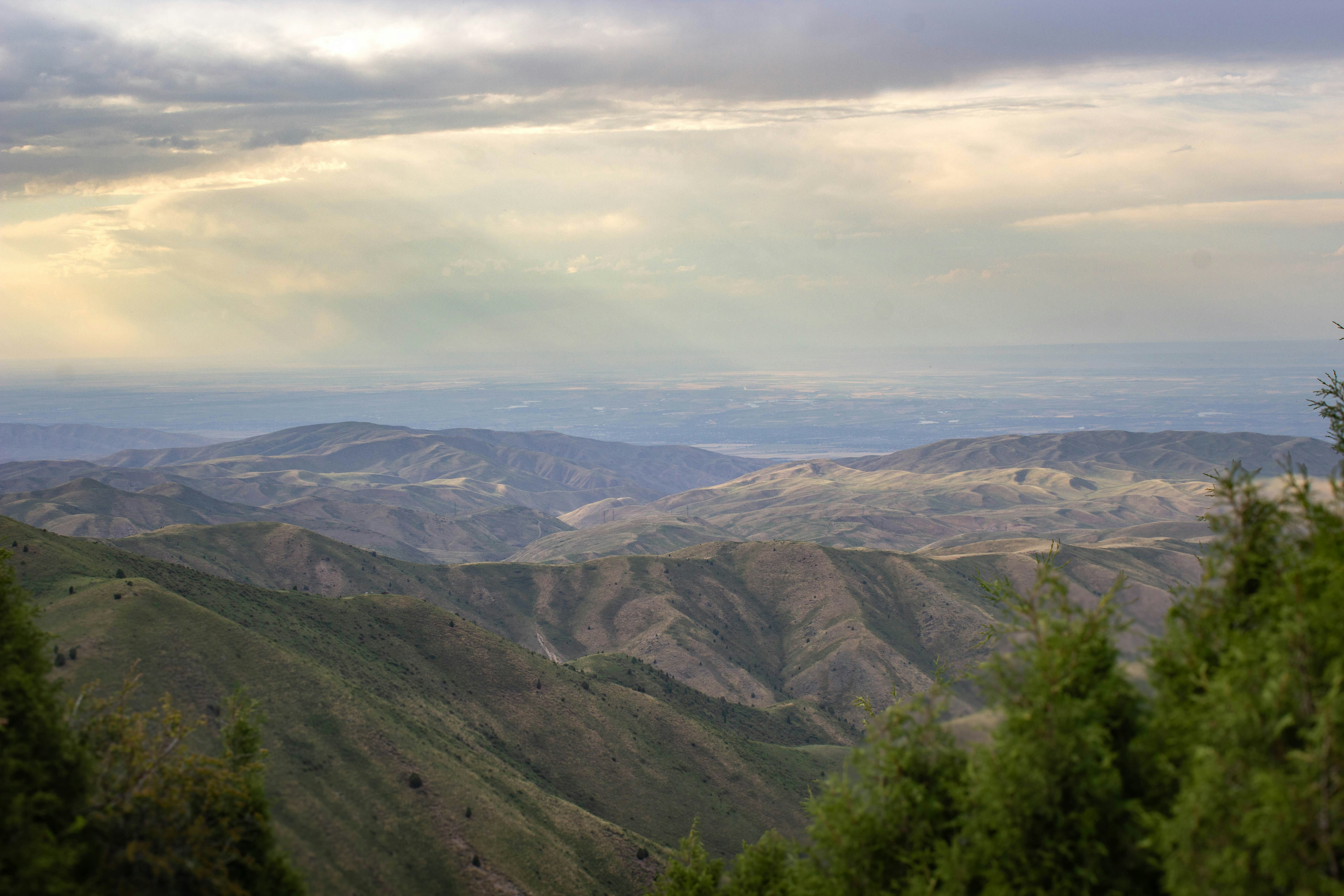 Photo by alienrhapsody